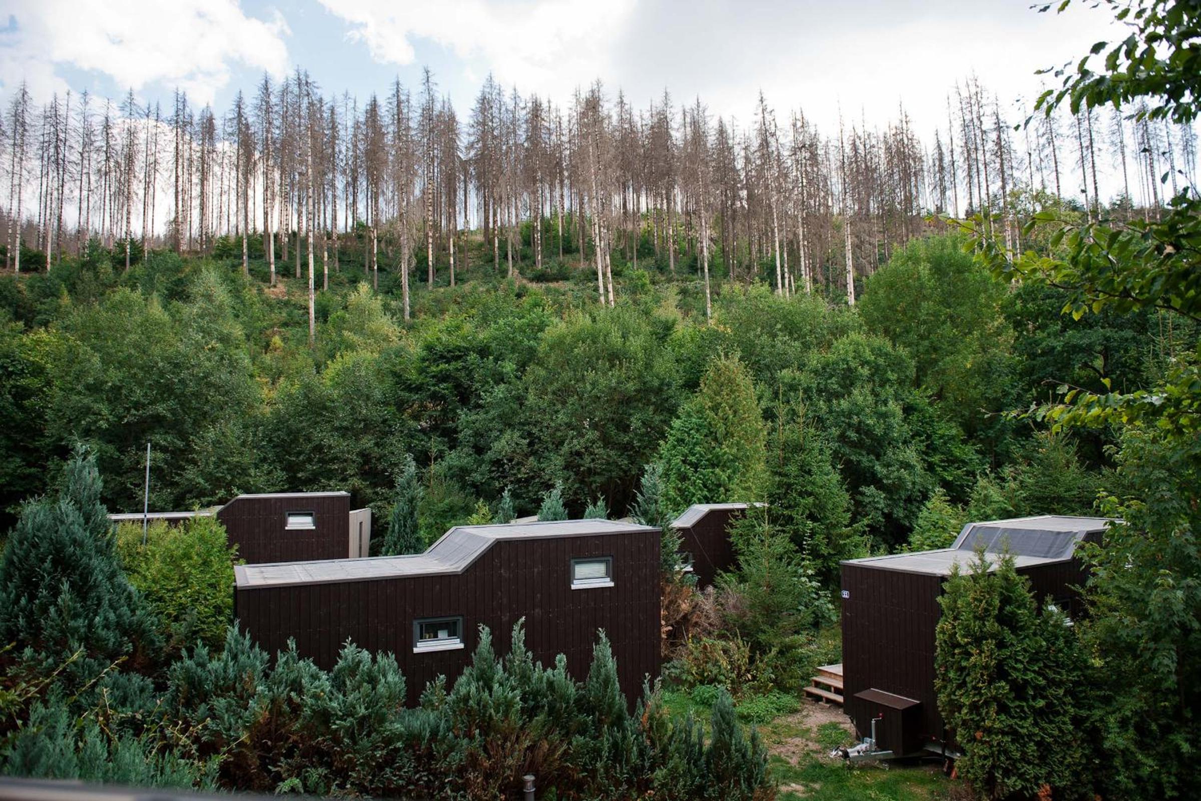 Tiny House Pioneer 7 - Green Tiny Village Harz