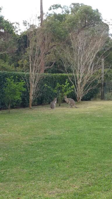 Canungra Valley Getaway