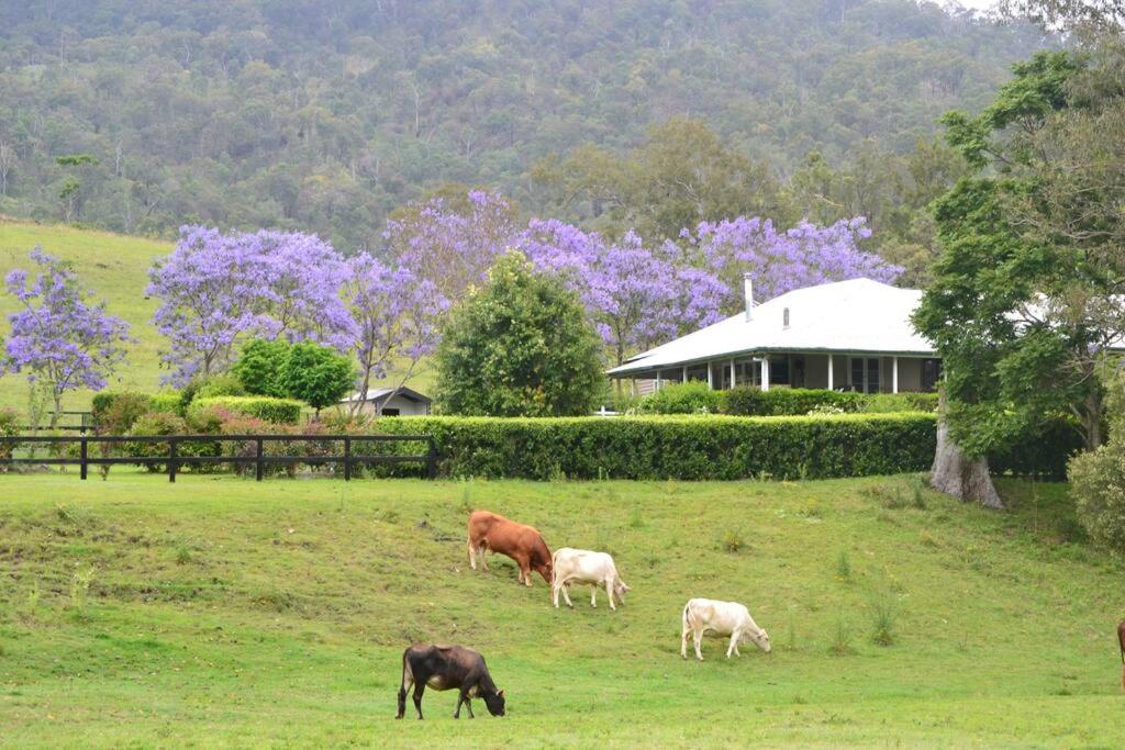 Canungra Valley Getaway