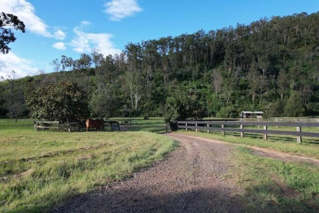 Canungra Valley Getaway