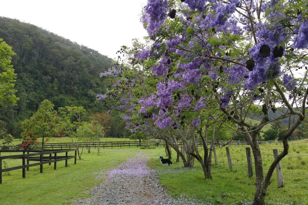 Canungra Valley Getaway