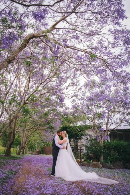 Canungra Valley Getaway