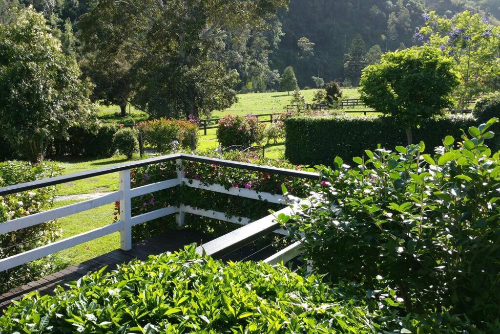 Canungra Valley Getaway