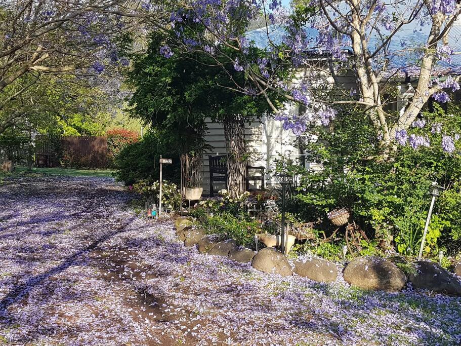 Canungra Valley Getaway