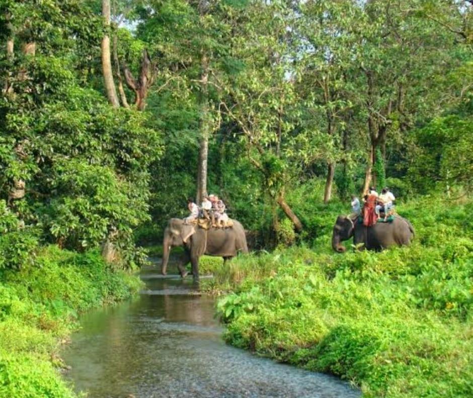Akarshan Bono Bunglow