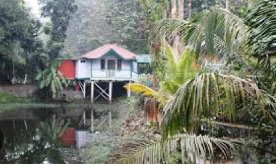 Akarshan Bono Bunglow
