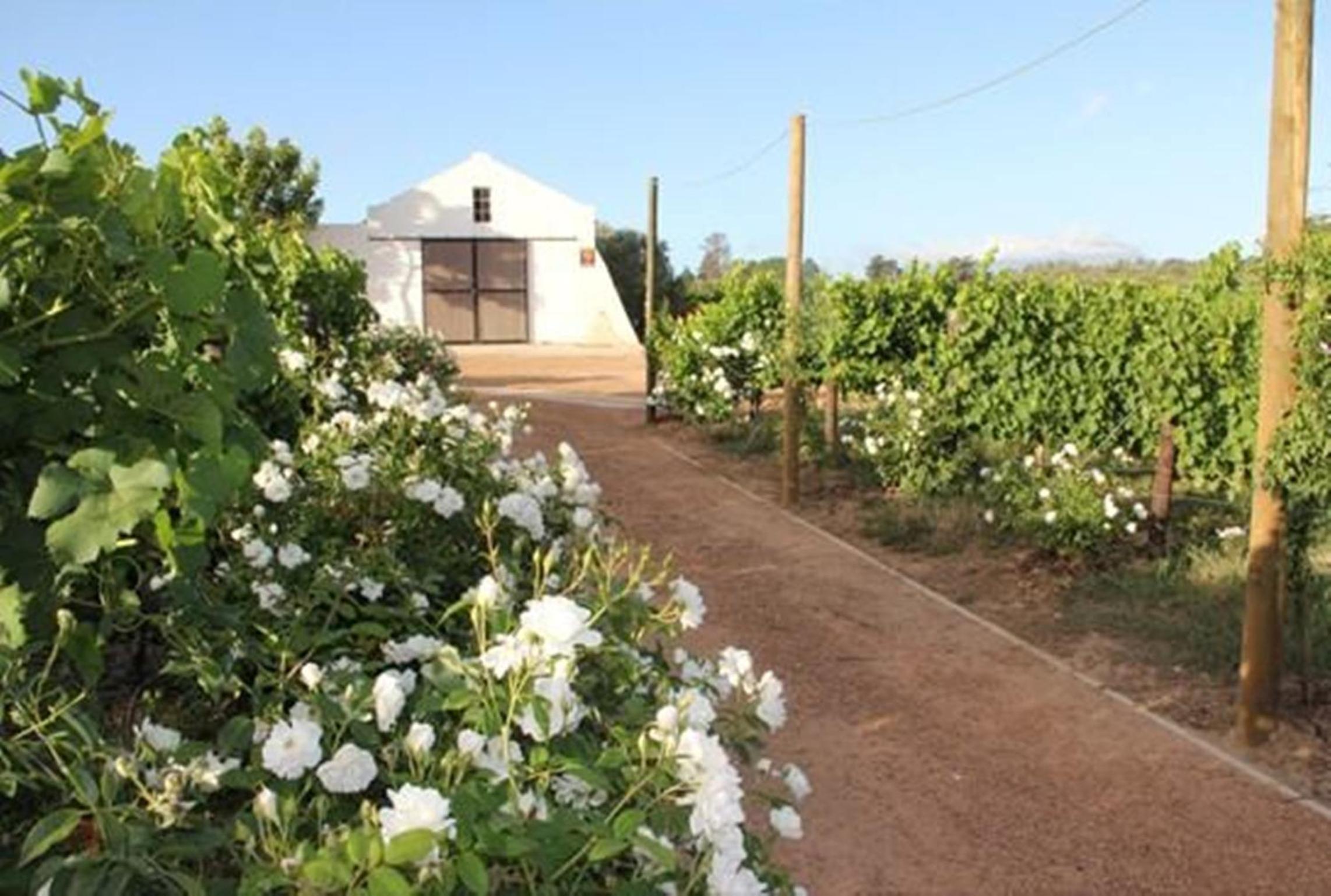 Klein Welmoed Luxury Guest House