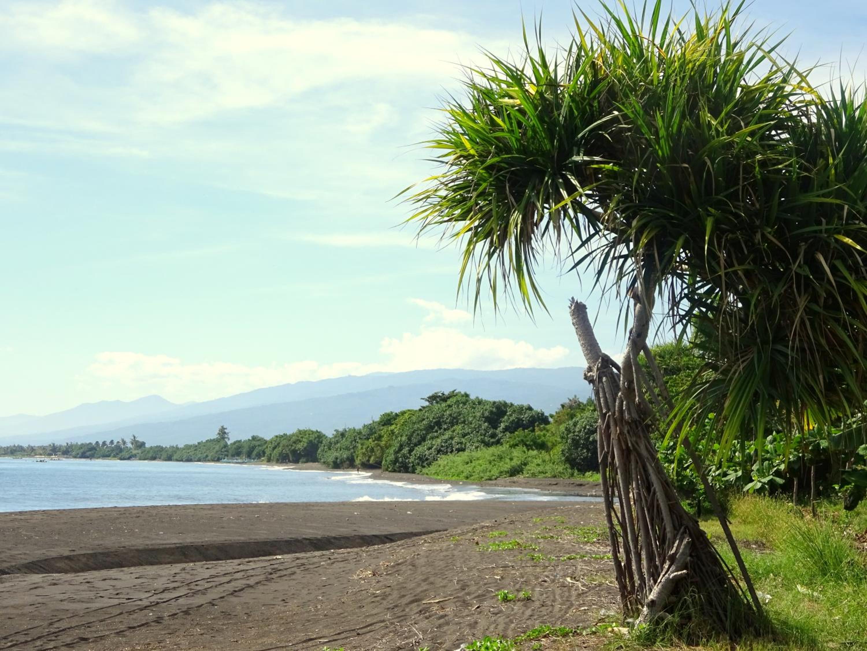 Mayo Resort