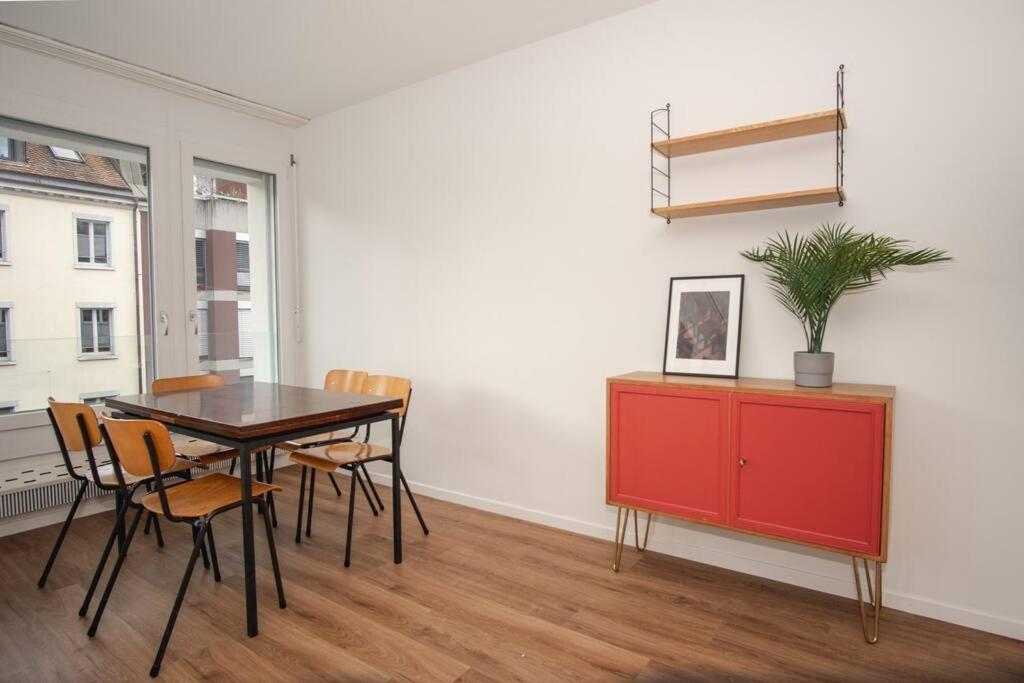 Spacious apartment next to Rhine