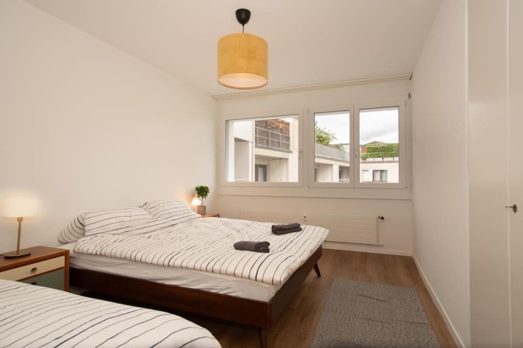 Spacious apartment next to Rhine