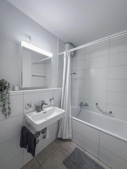 Spacious apartment next to Rhine