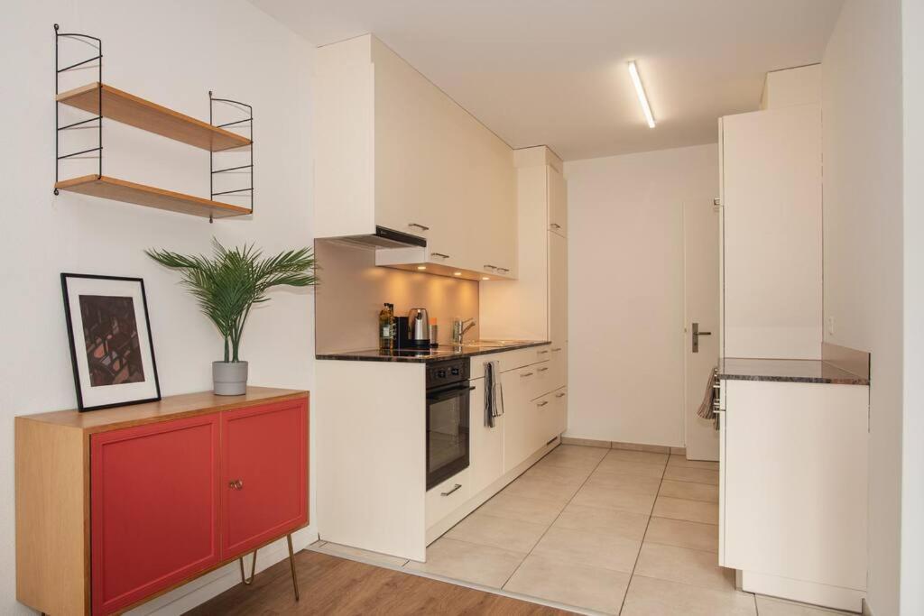 Spacious apartment next to Rhine