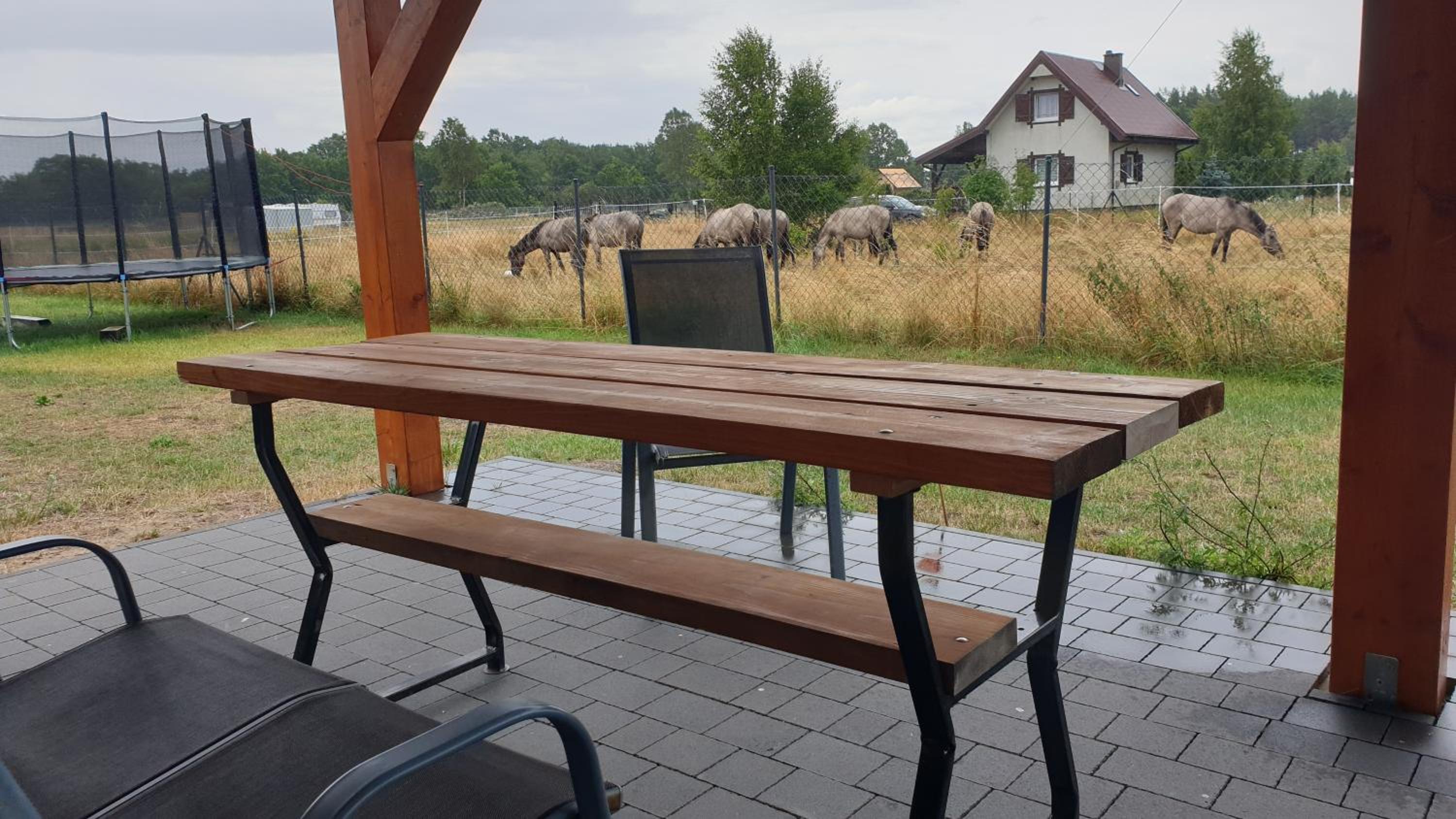 Słowińskie Widoki domki Flora, Fauna, noclegi Smołdziński Las view 2