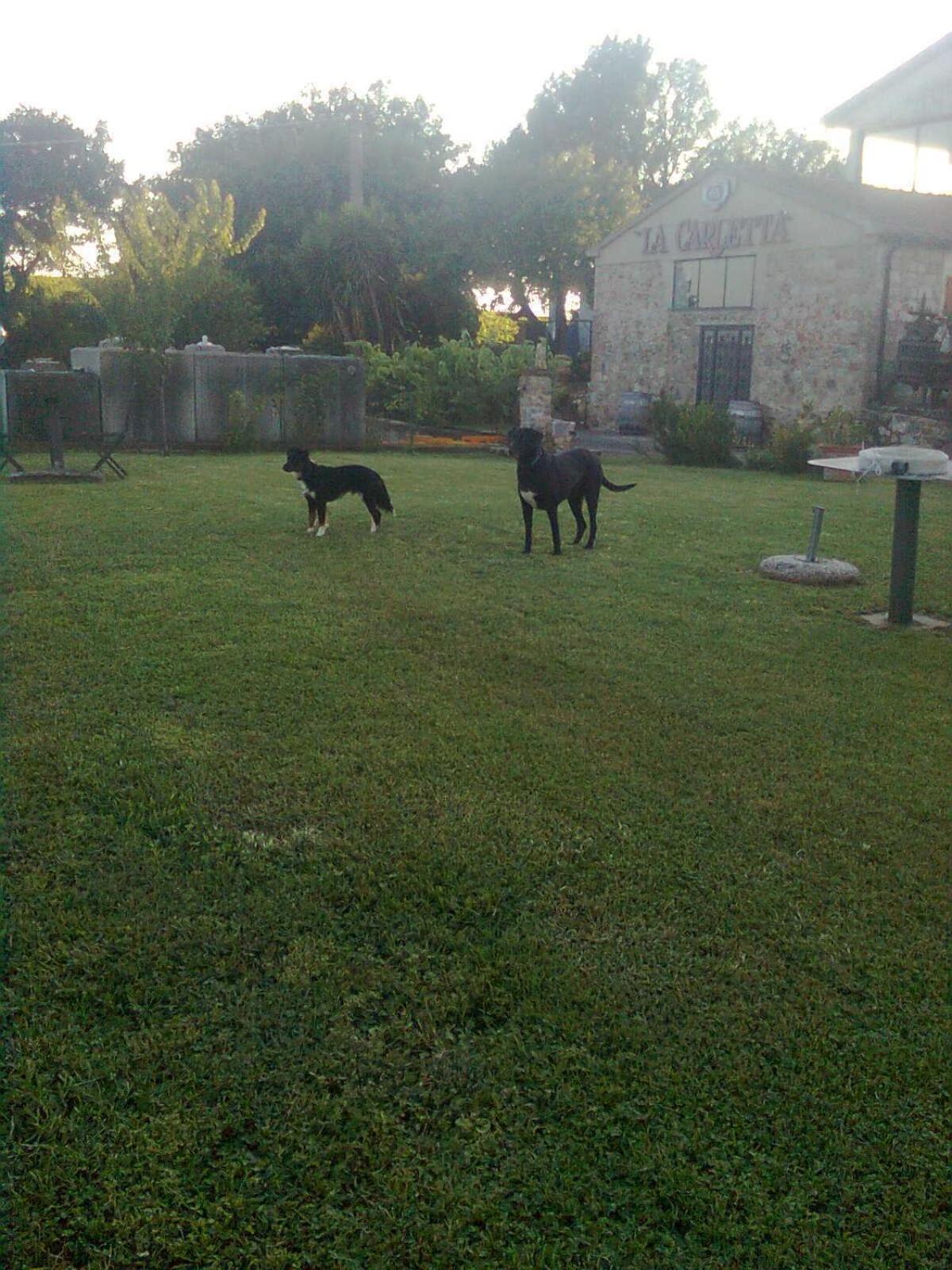 Photo 25