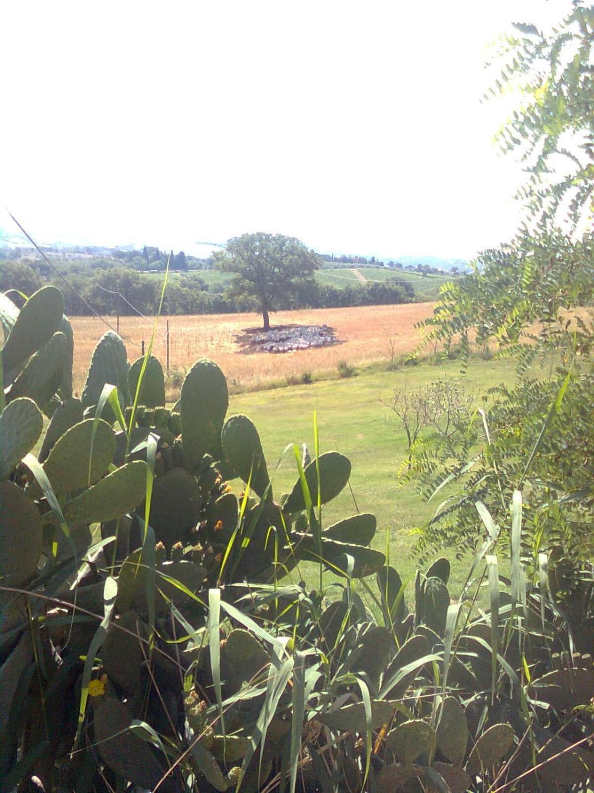 Photo 46