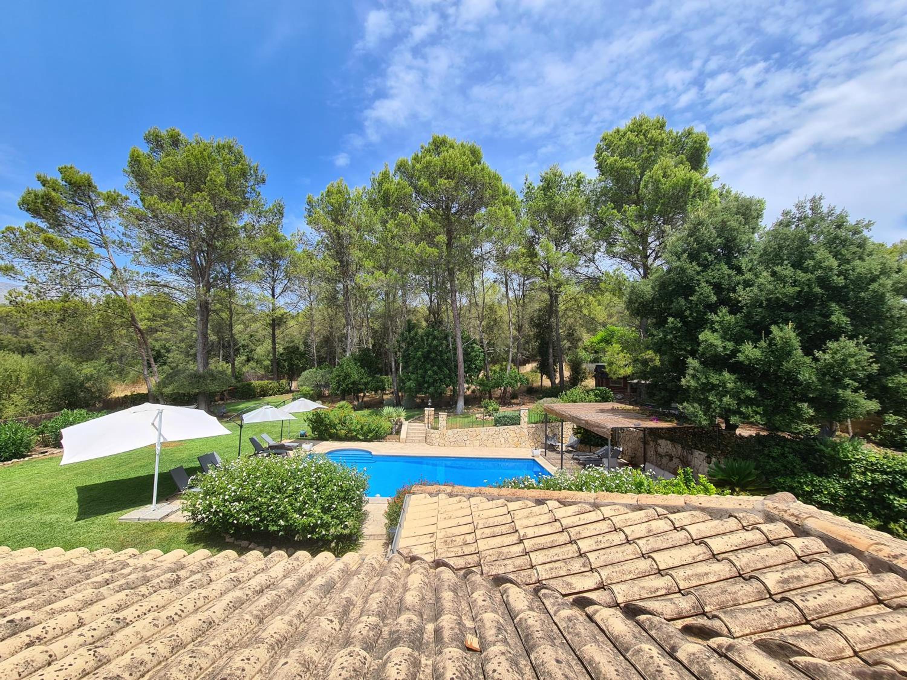 Villa Jacelia en Sa Pobla — recepcion & lobby