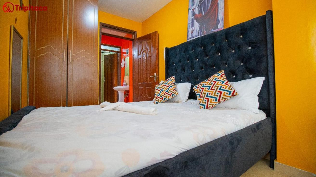 PLATINUM EMPIRE HOMES