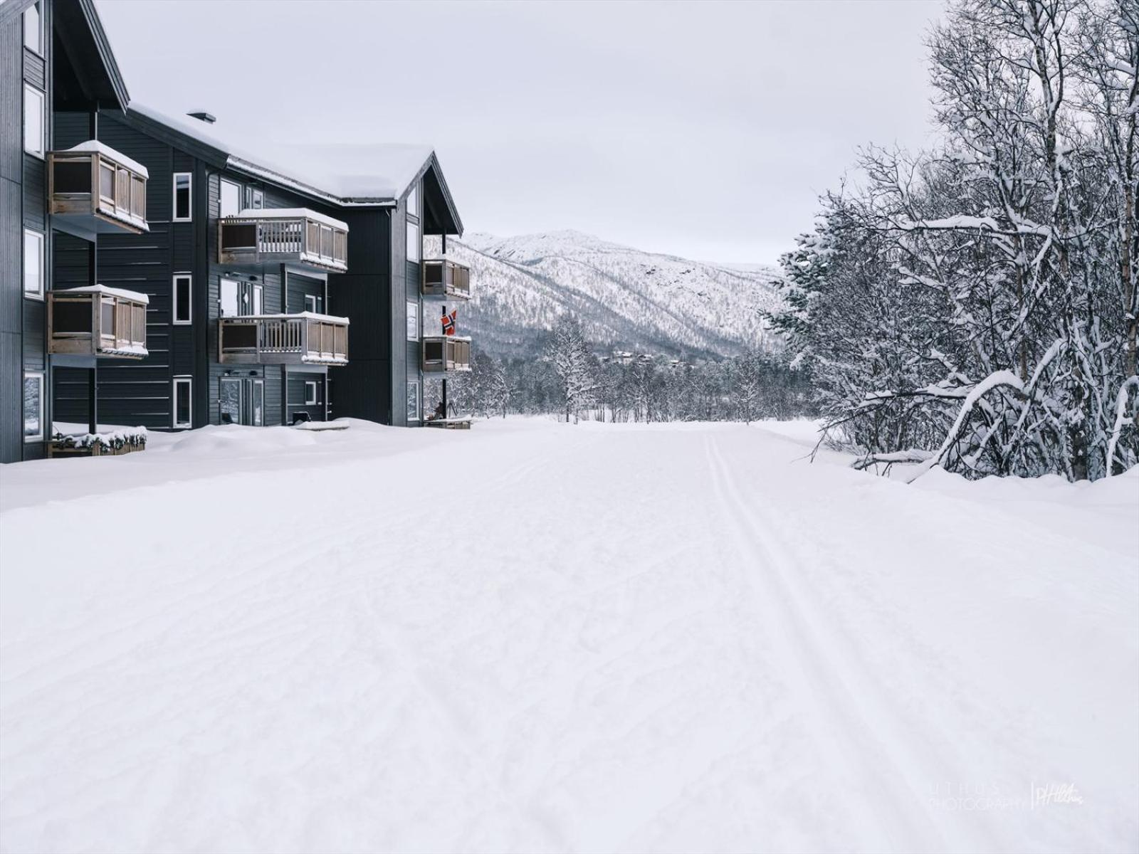 Beautiful apartment - high standard - Geilo centre view 3
