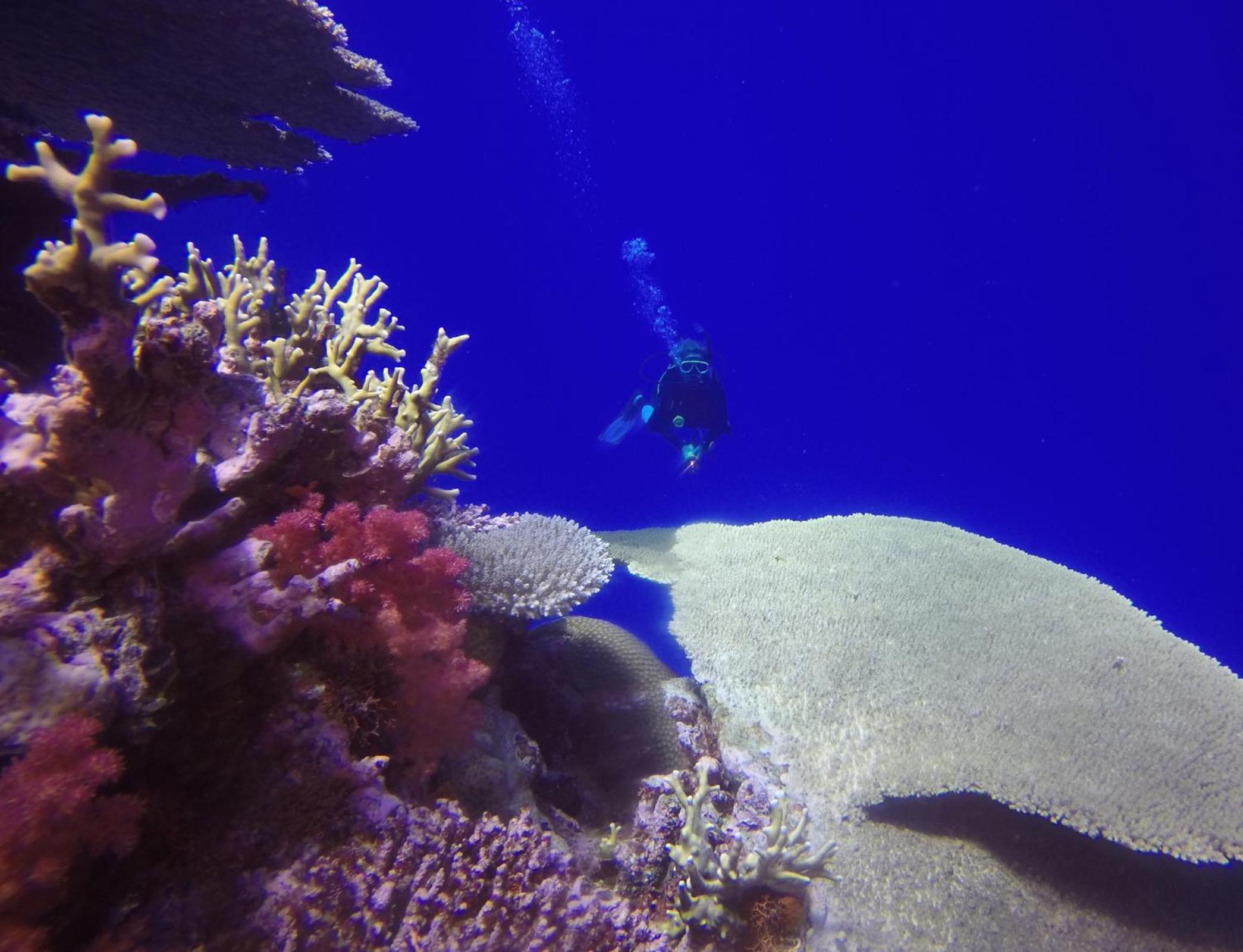 Tokoriki Island Resort Adults-Only