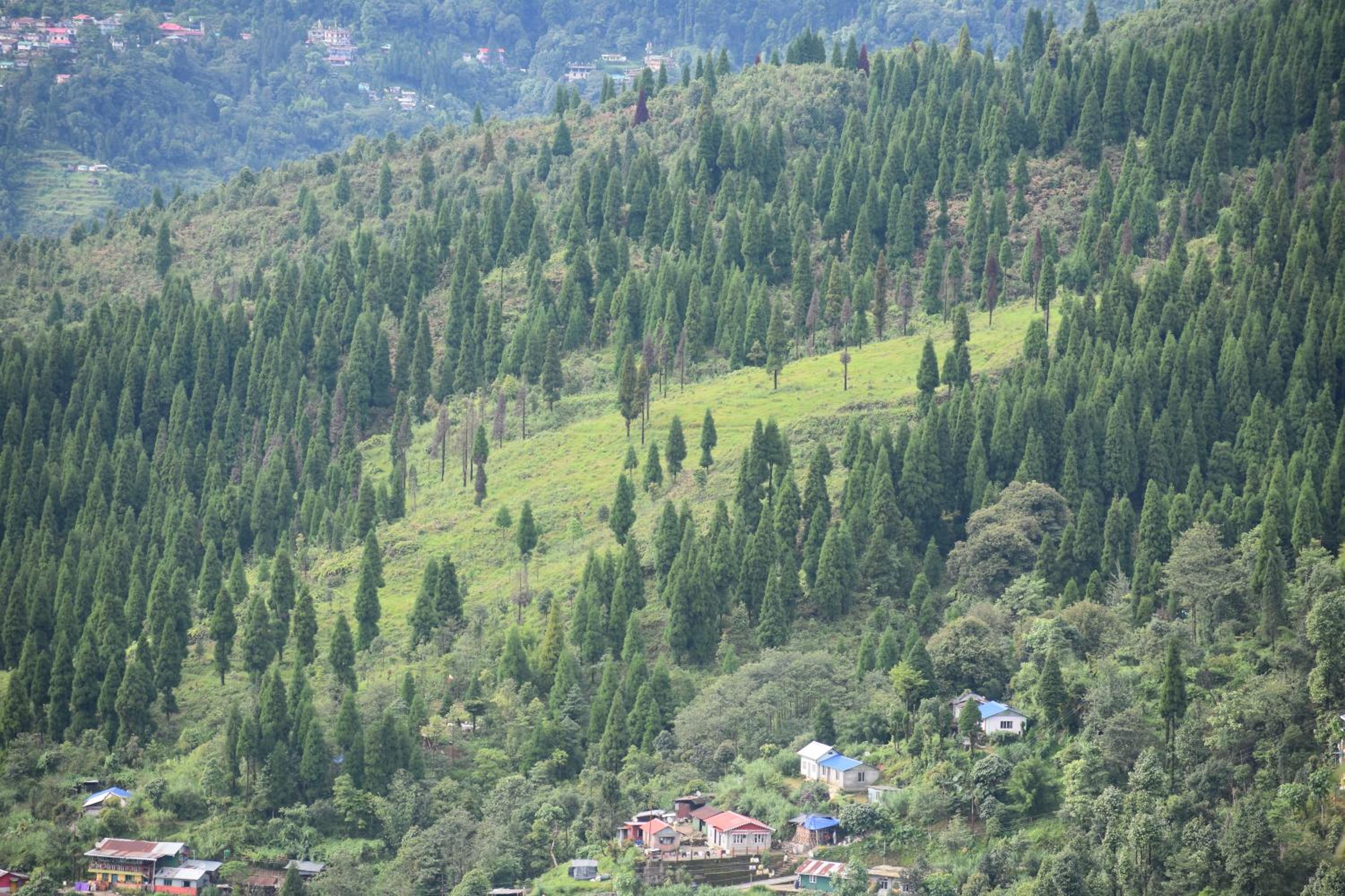 Risingsun Homestay