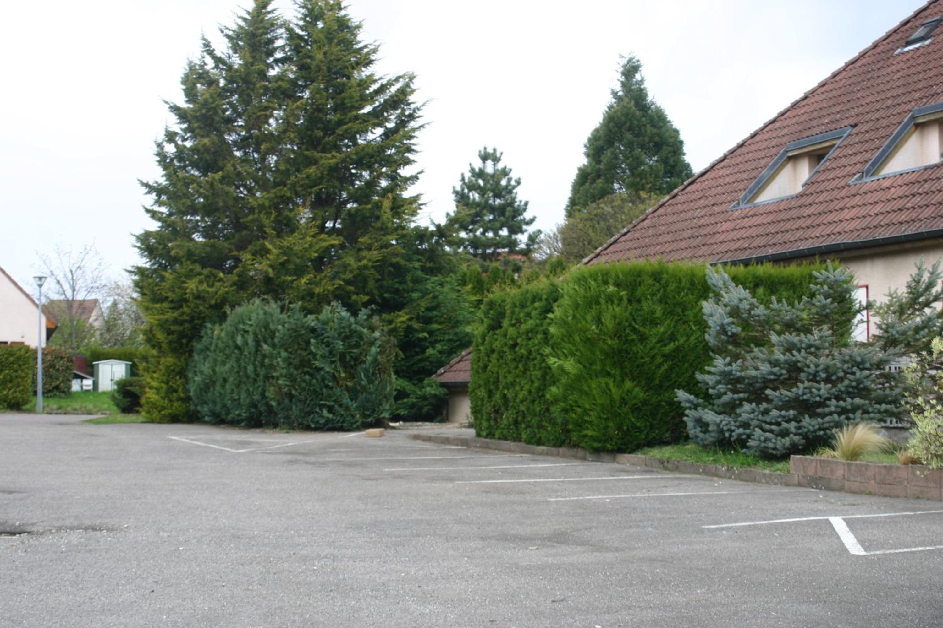 Photo 46