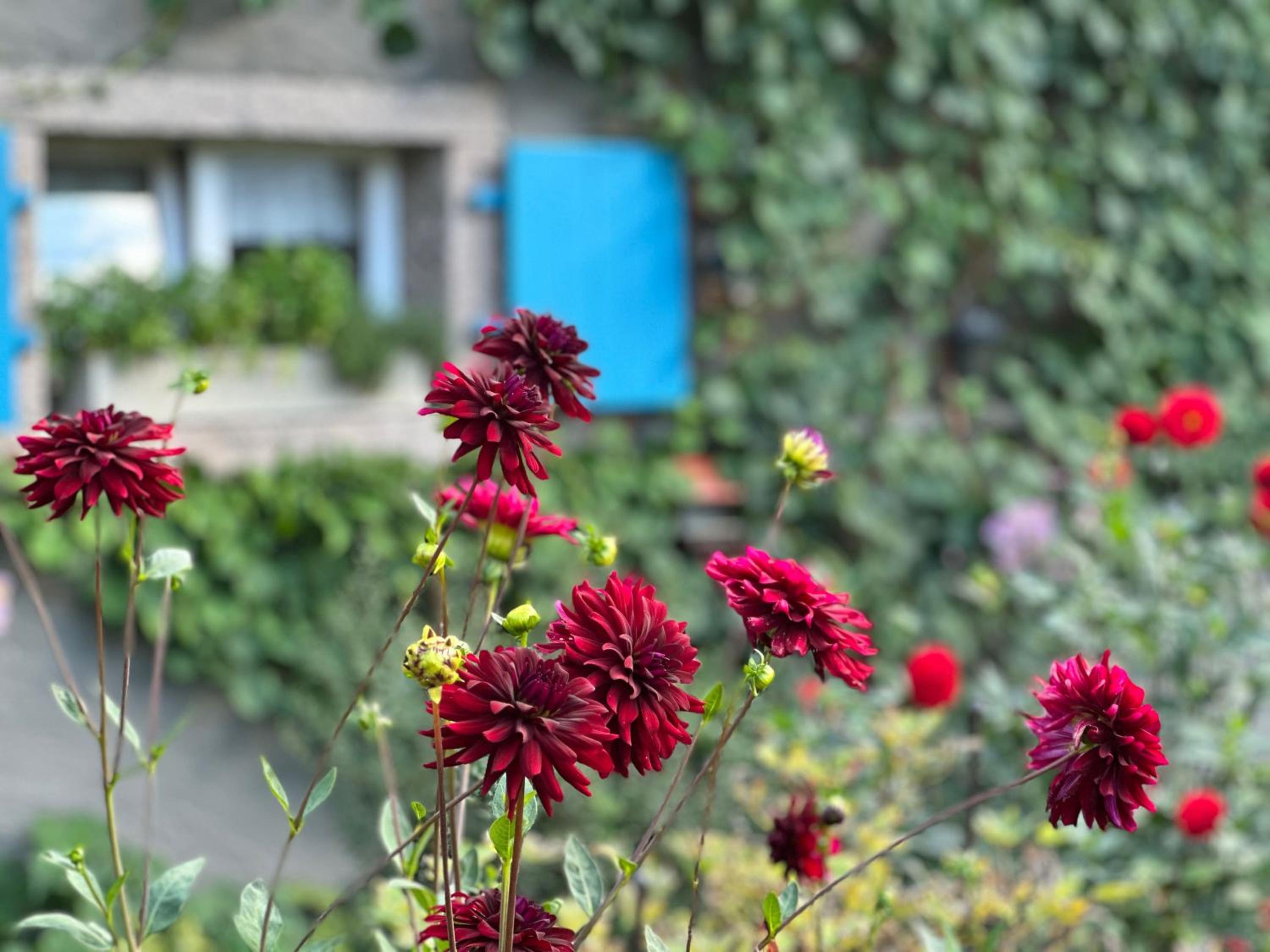Backhüsli am Bauerngarten