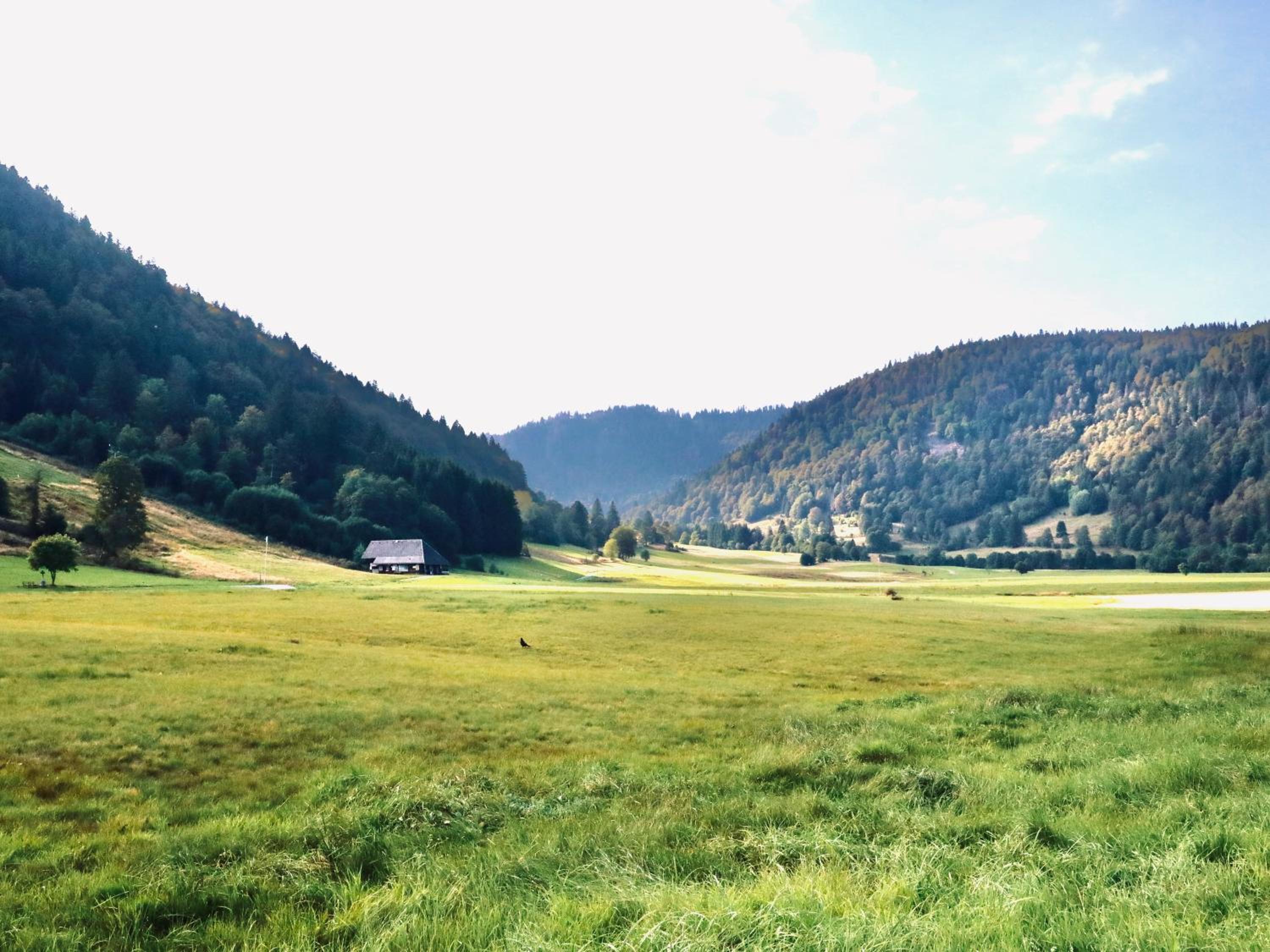 Backhüsli am Bauerngarten