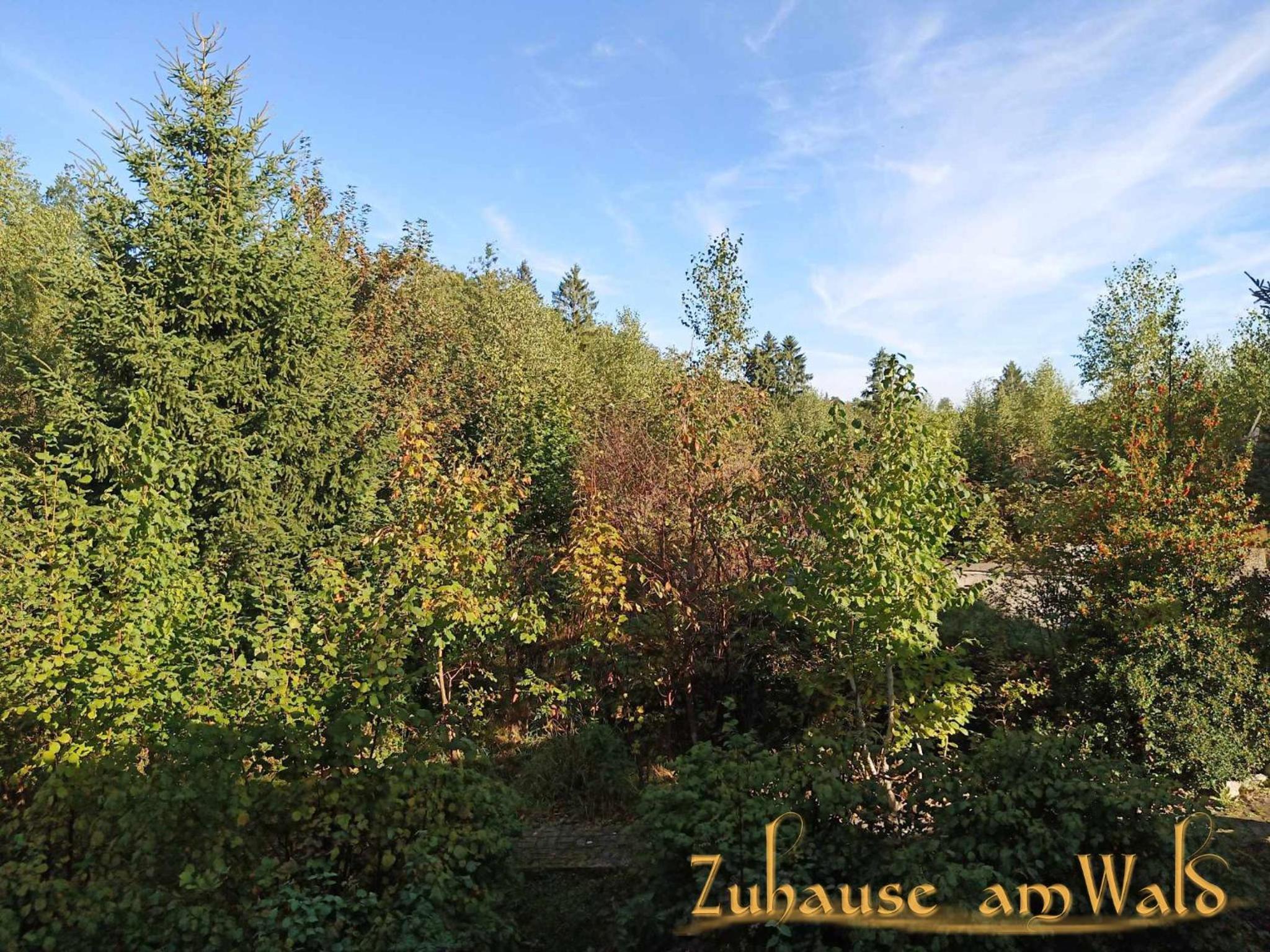 Zuhause Am Wald