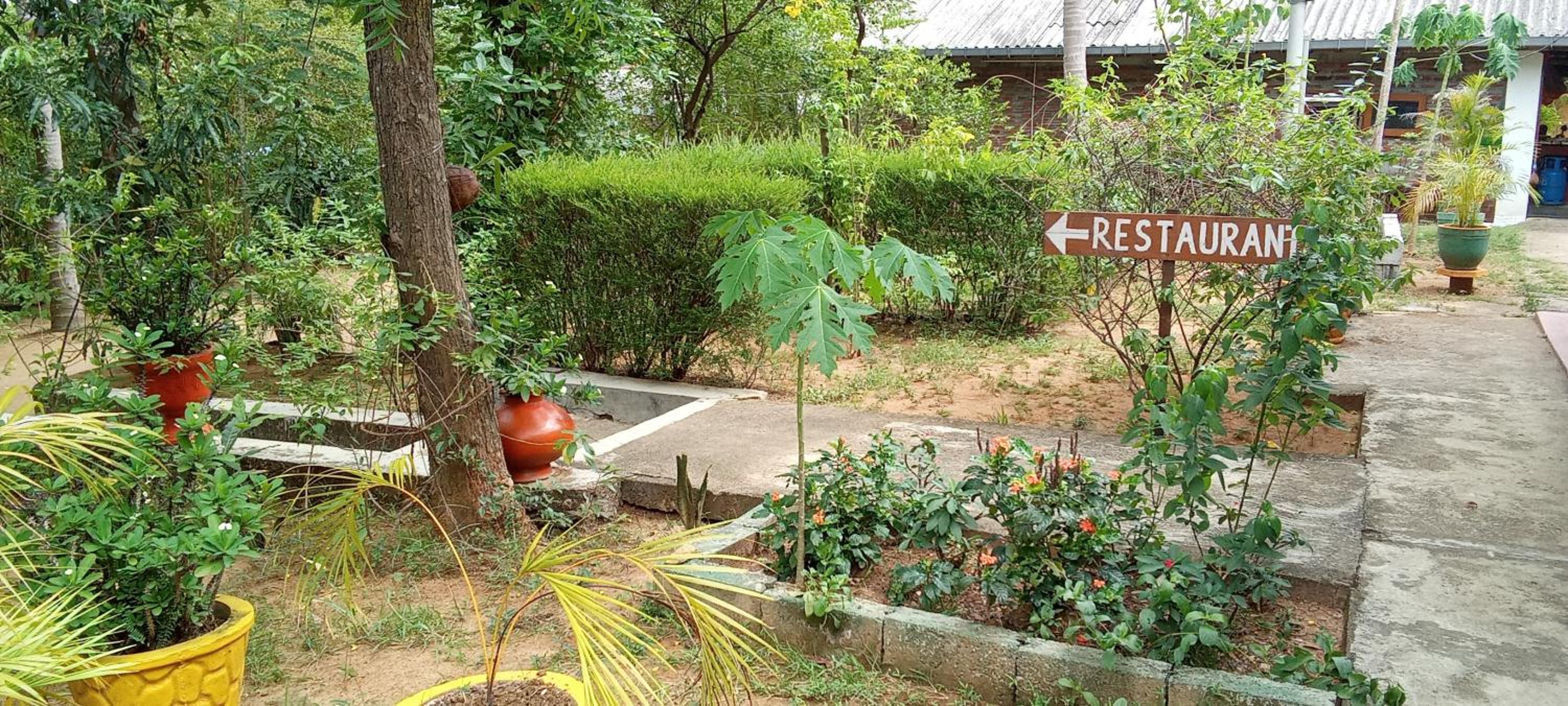 Photo 28