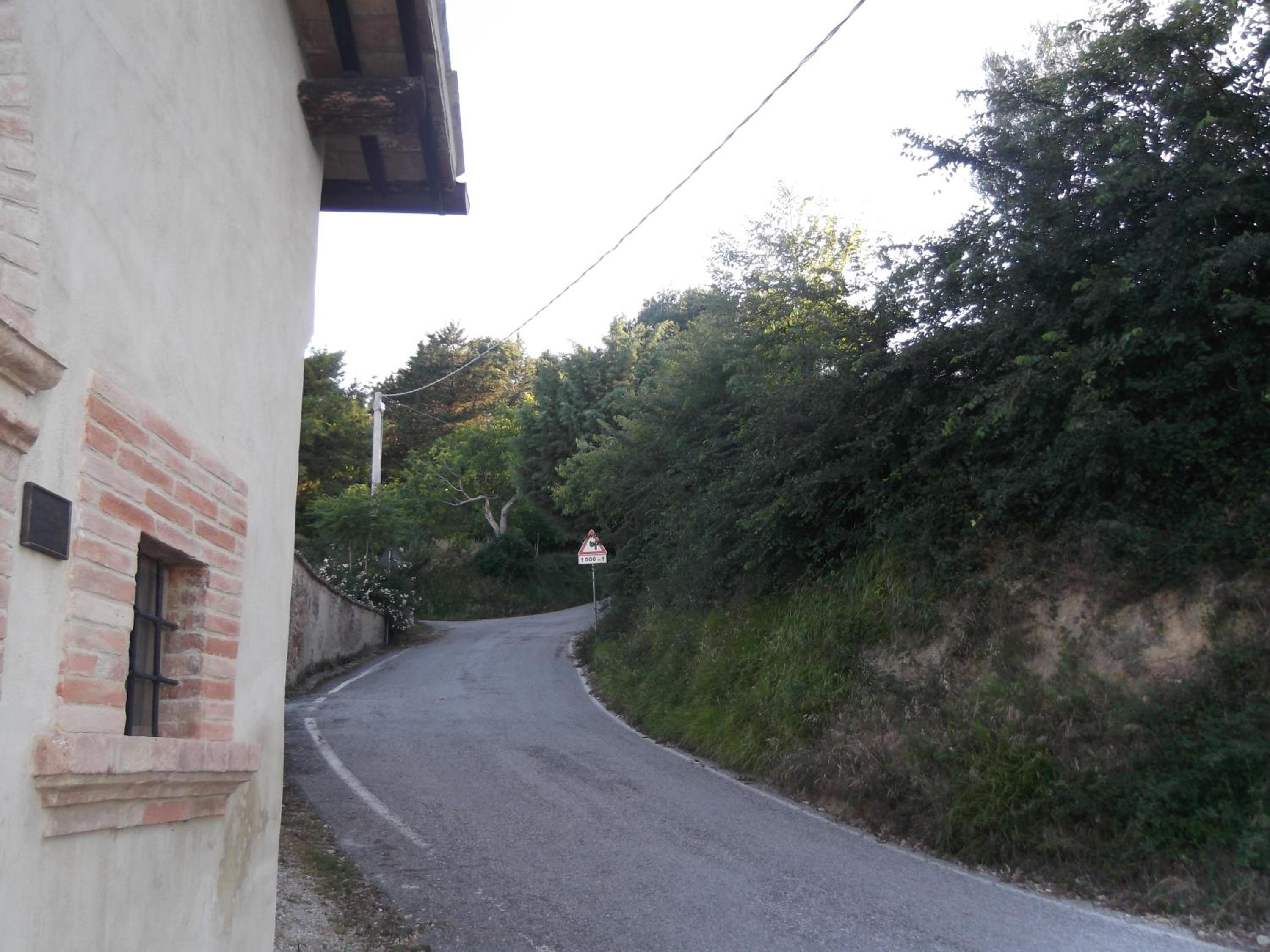 Photo 34