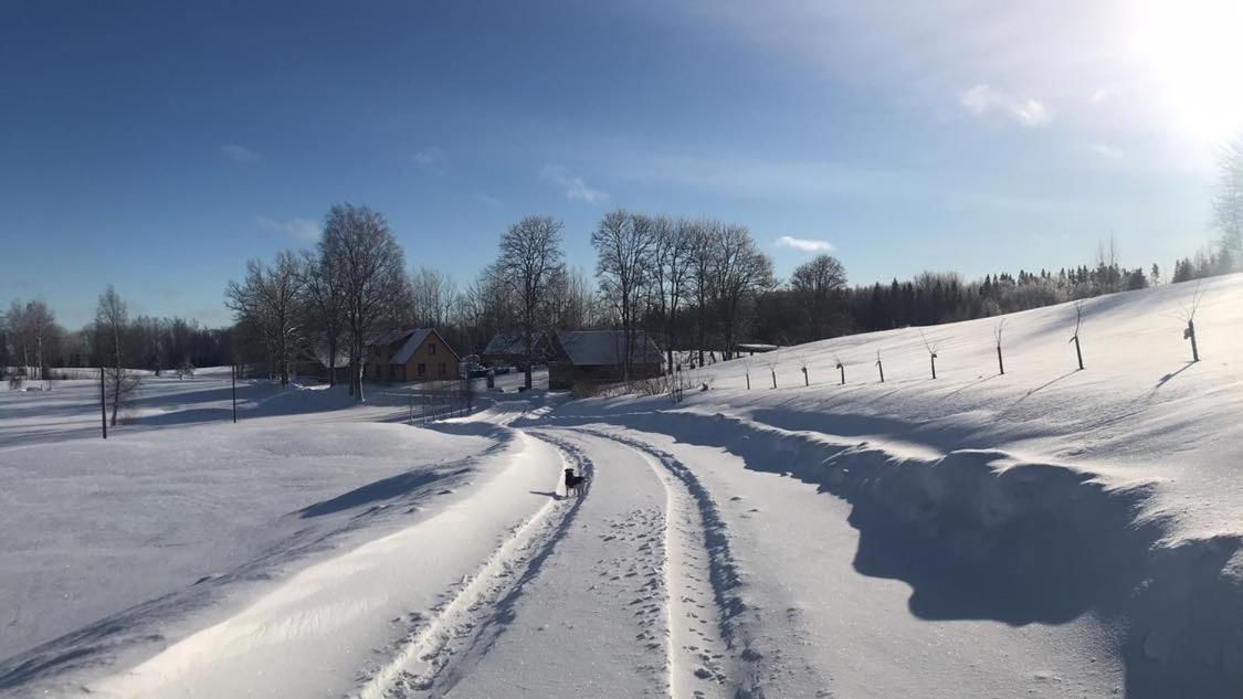 Ala Sarise saunamaja