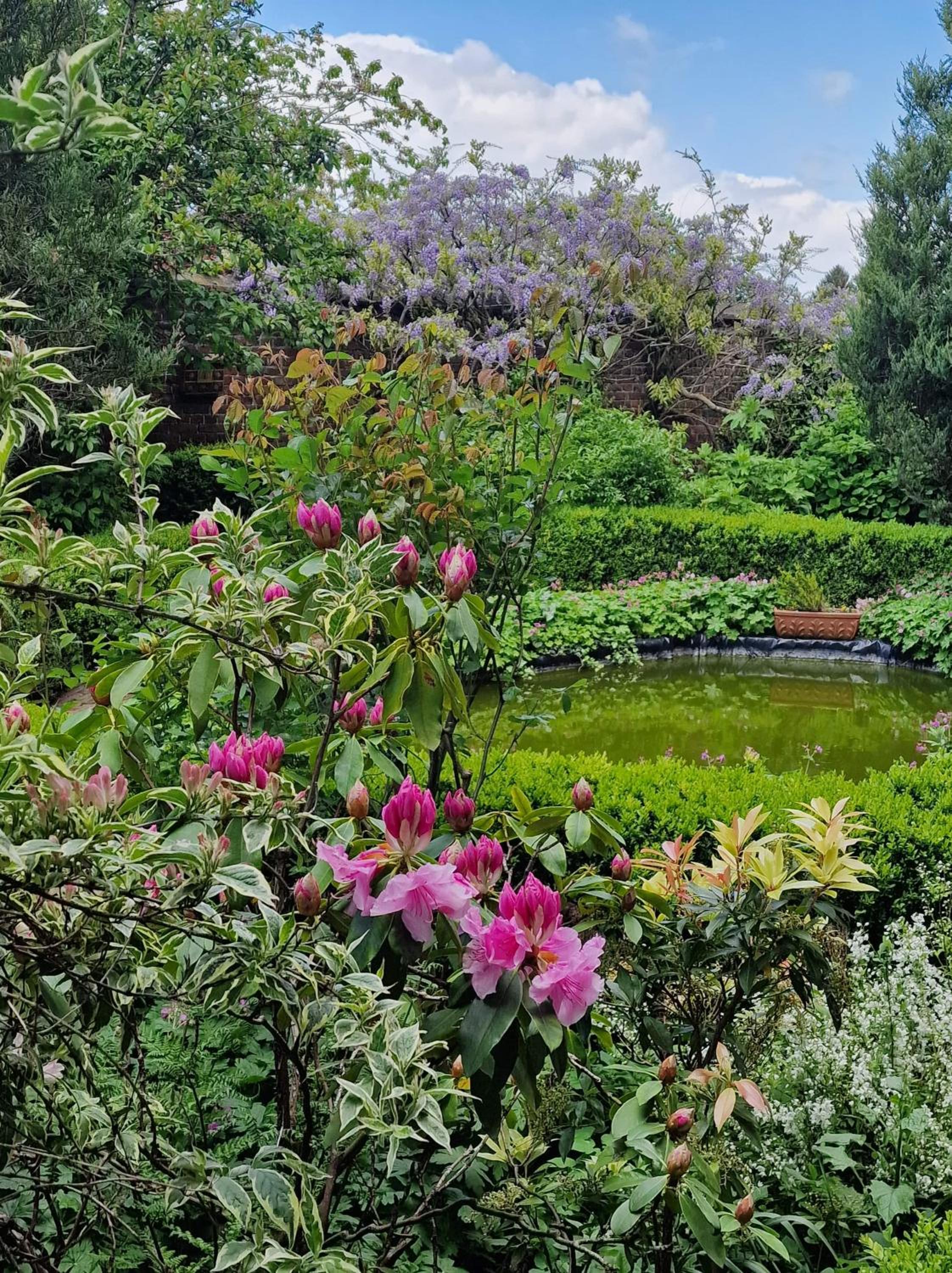 Gite avec piscine La Buissiere - Fernelmont