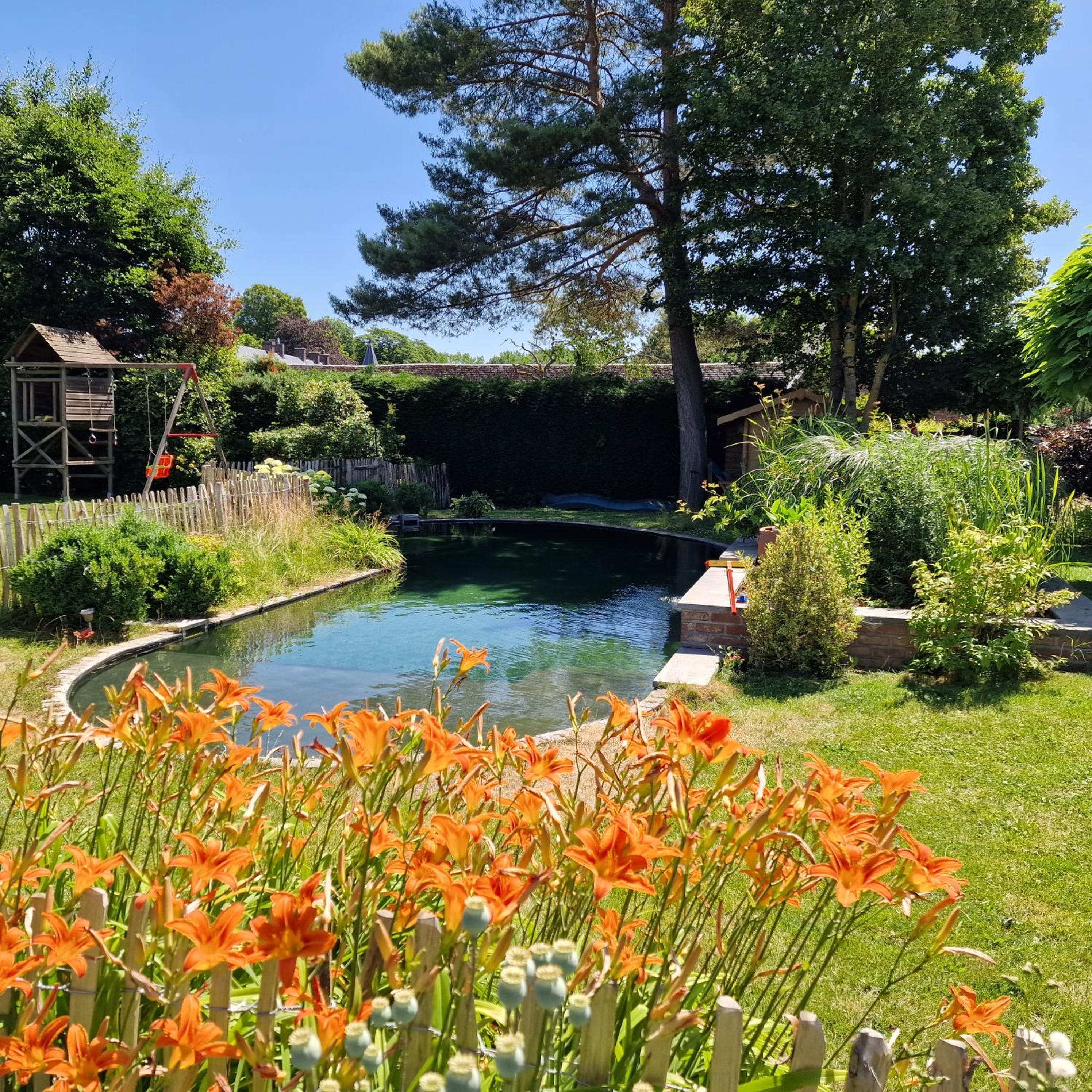 Gite avec piscine La Buissiere - Fernelmont