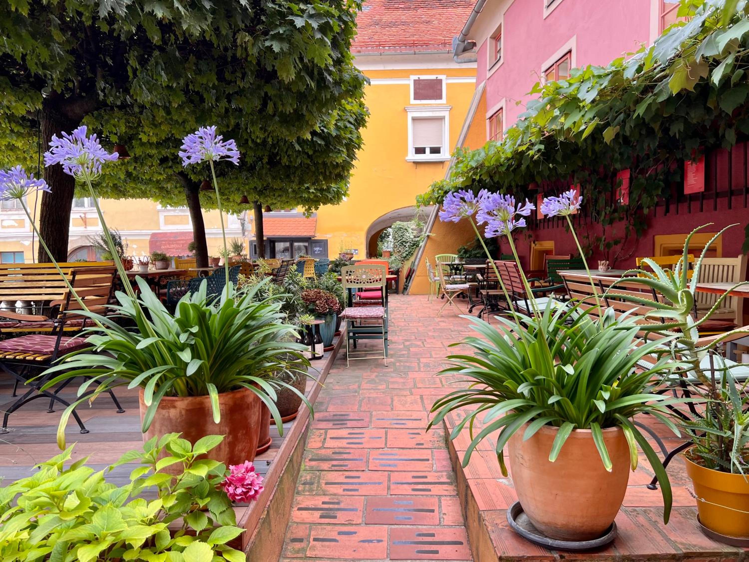 MuziKafe - Home of Culture, photo 83