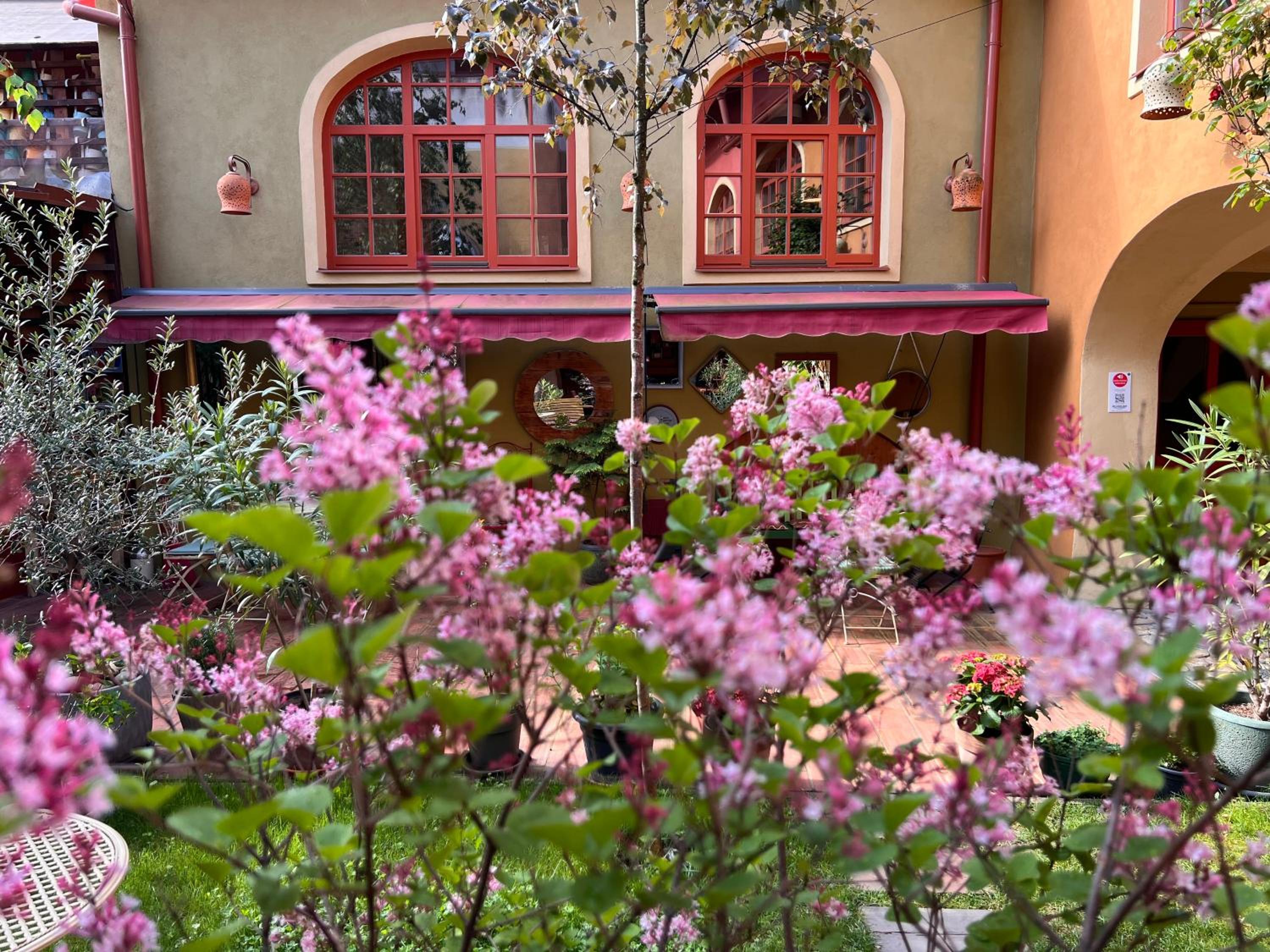 MuziKafe - Home of Culture, photo 93