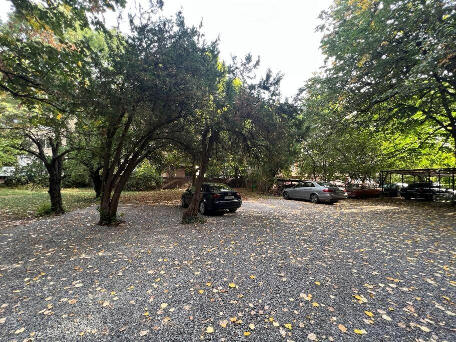 Lozenets Apartment