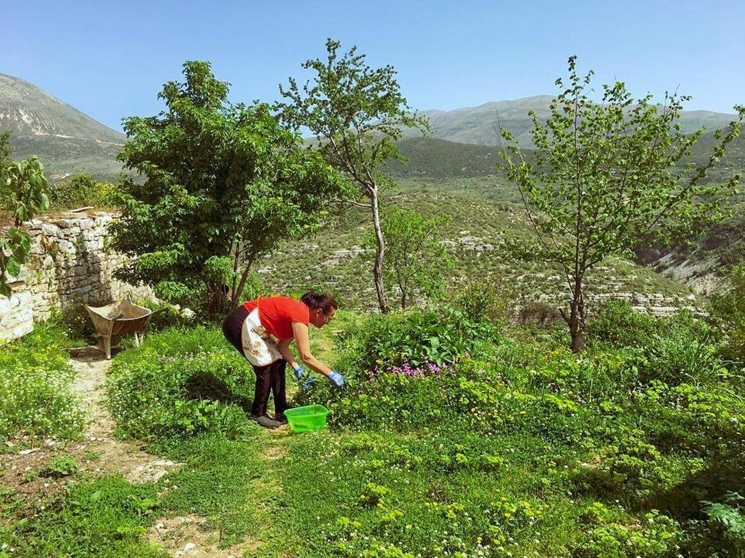 Guesthouse on Canyon photo 4