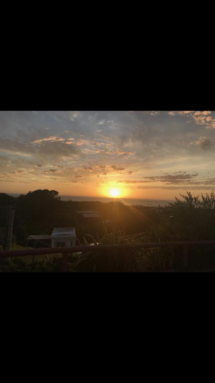 Las palmas
