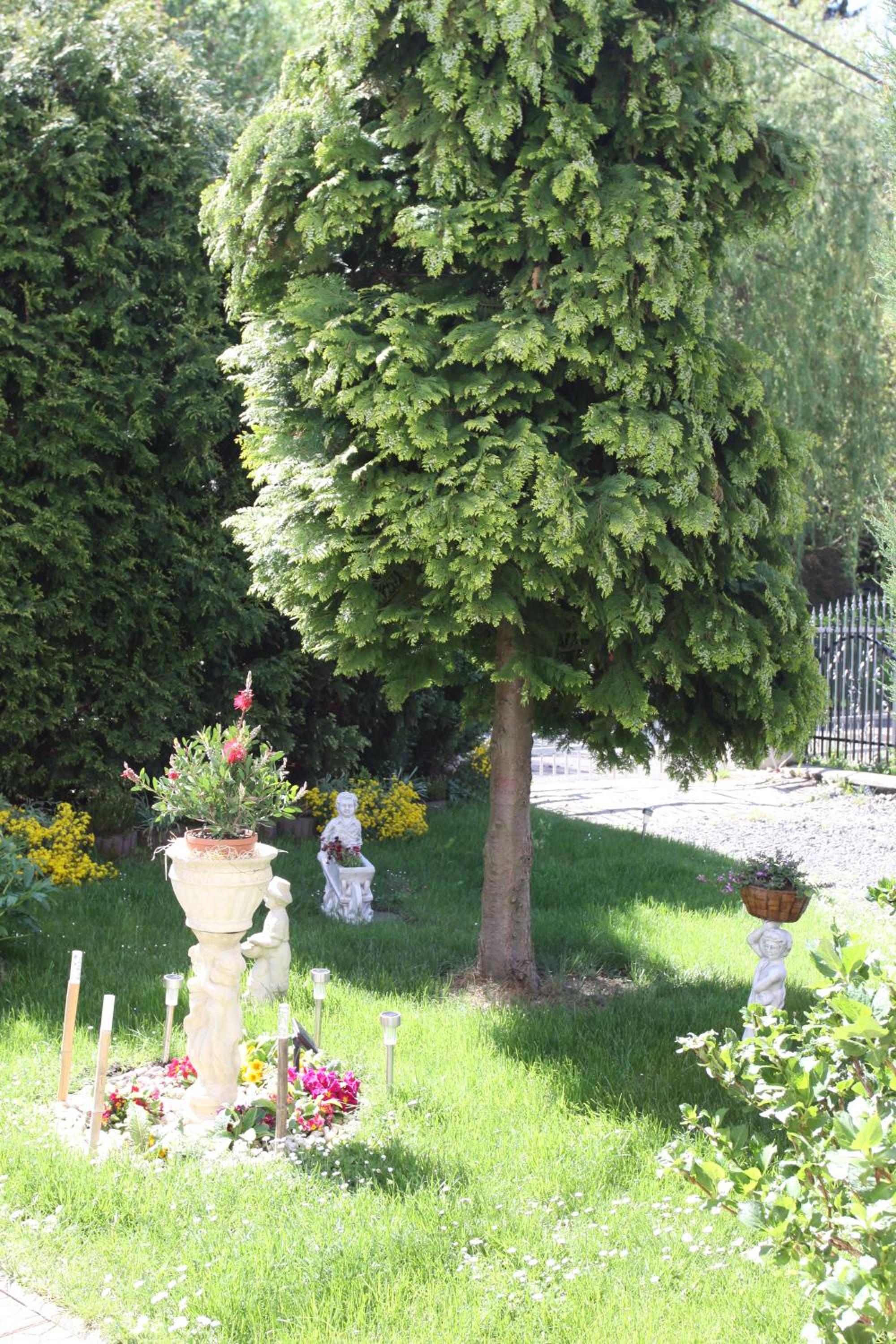 Villa Anastazis - Penzion Eden