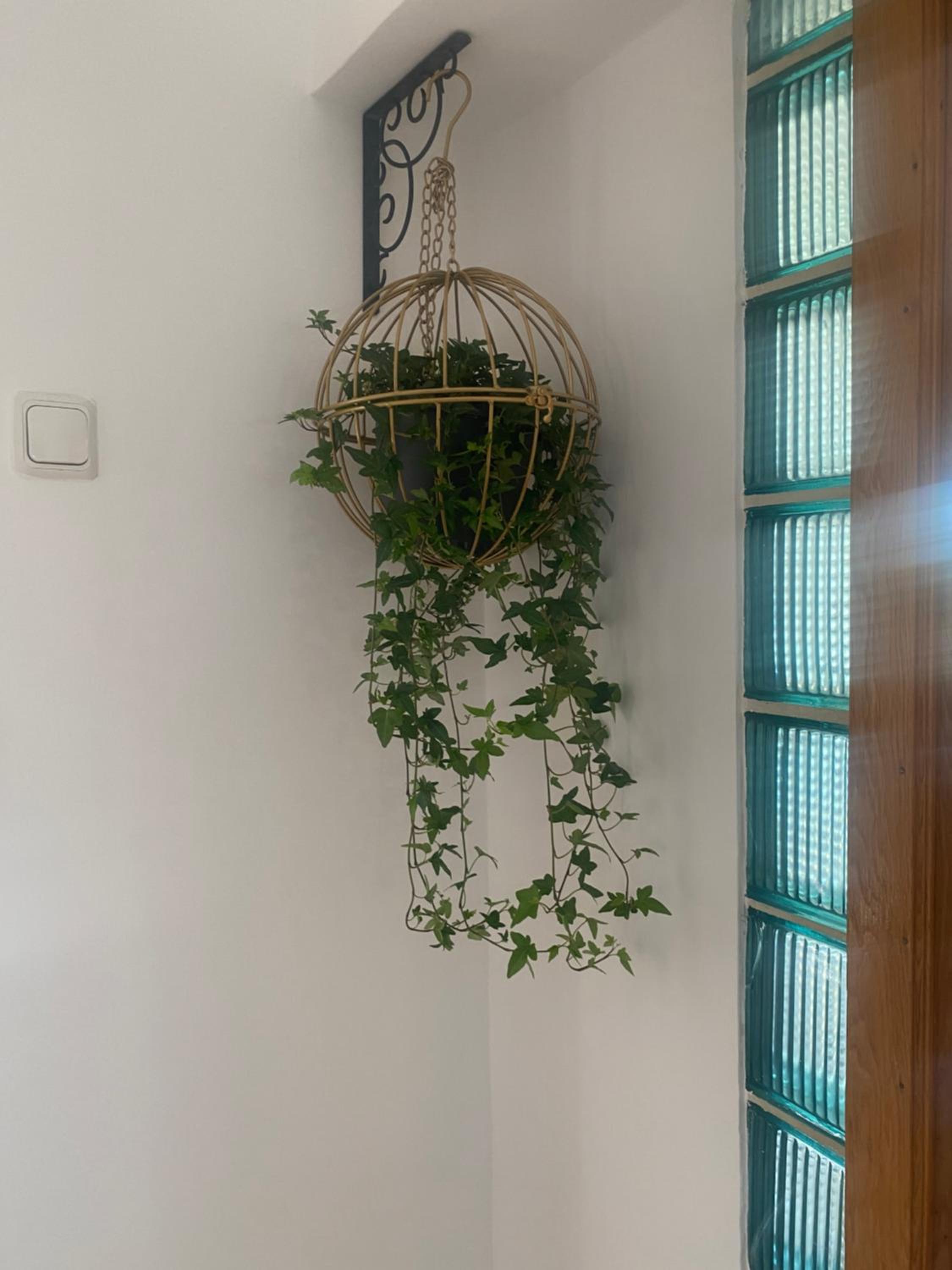 Apartament Olivia