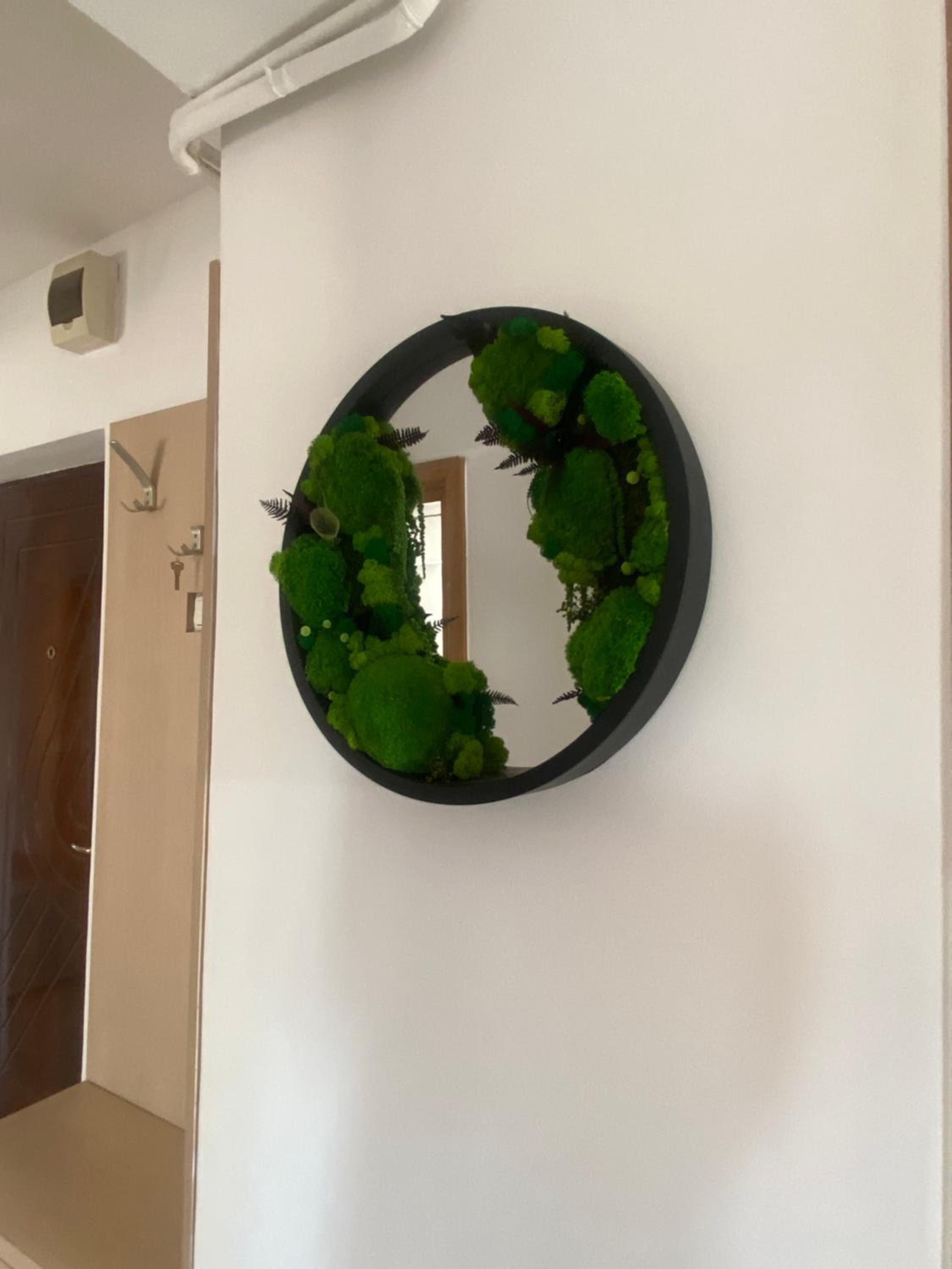 Apartament Olivia
