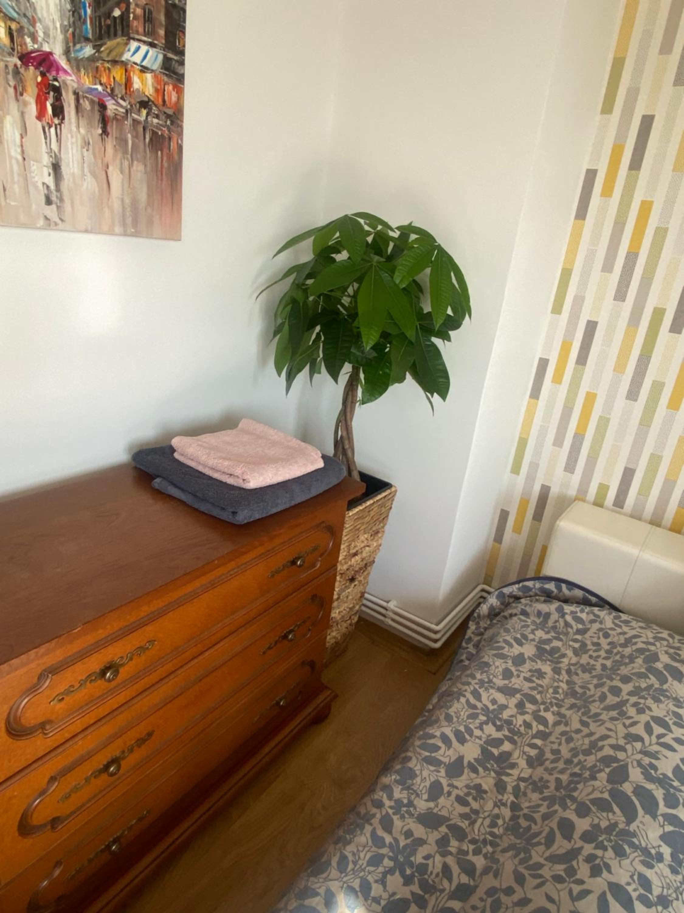 Apartament Olivia