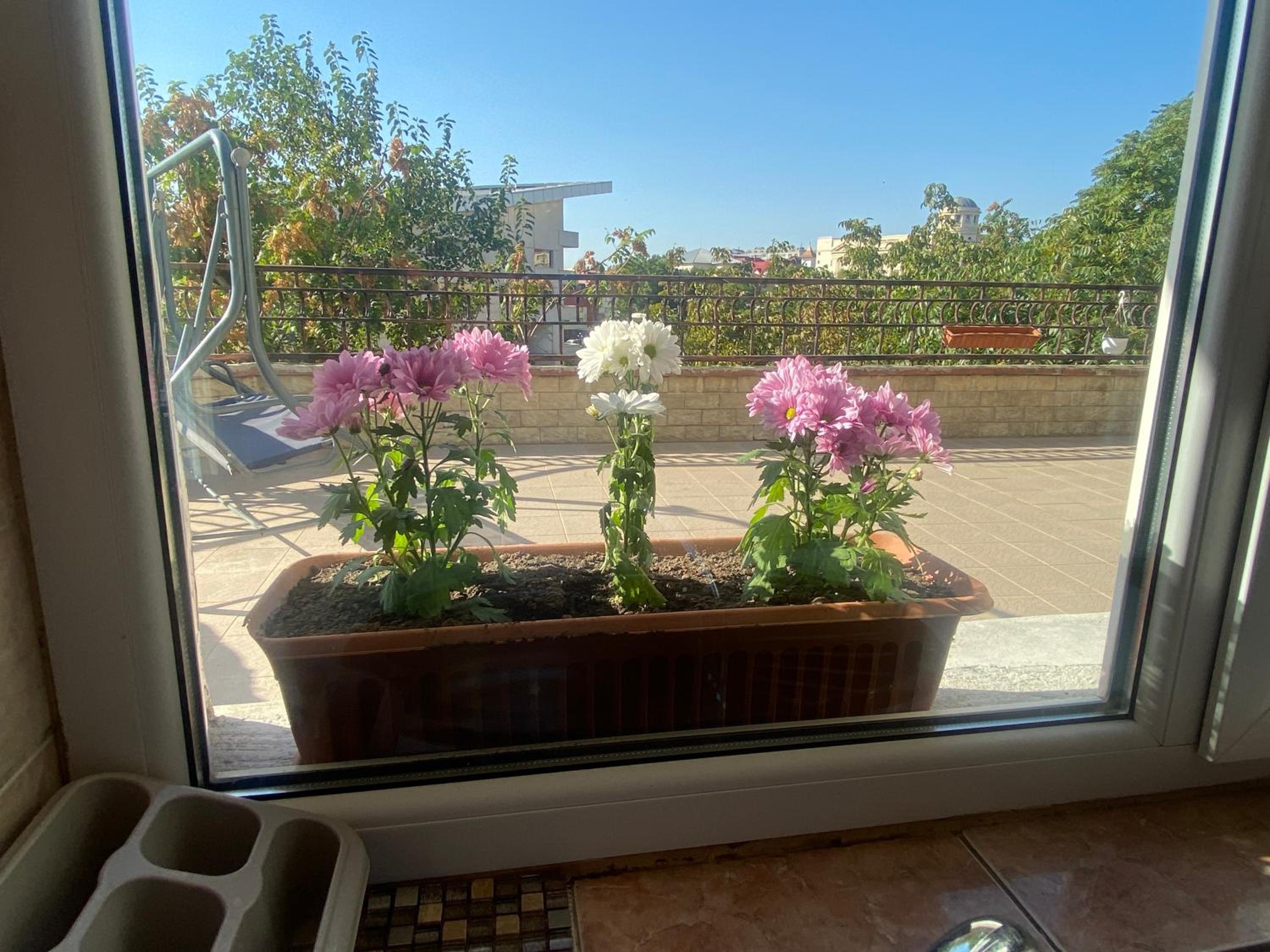 Apartament Olivia