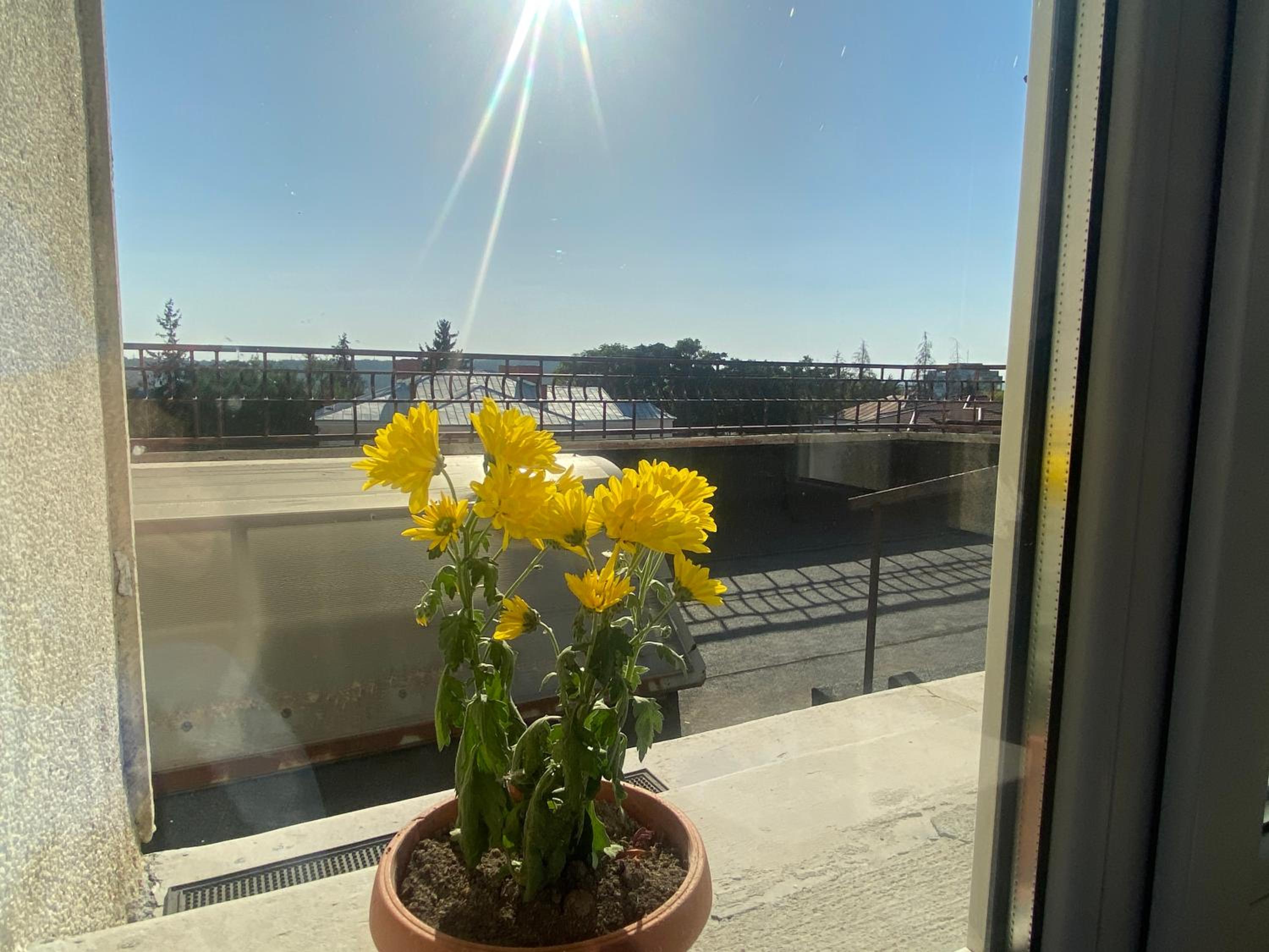 Apartament Olivia