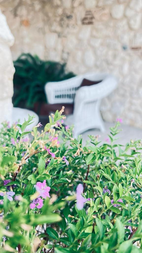 B&B Casale Pietrantica Tropea