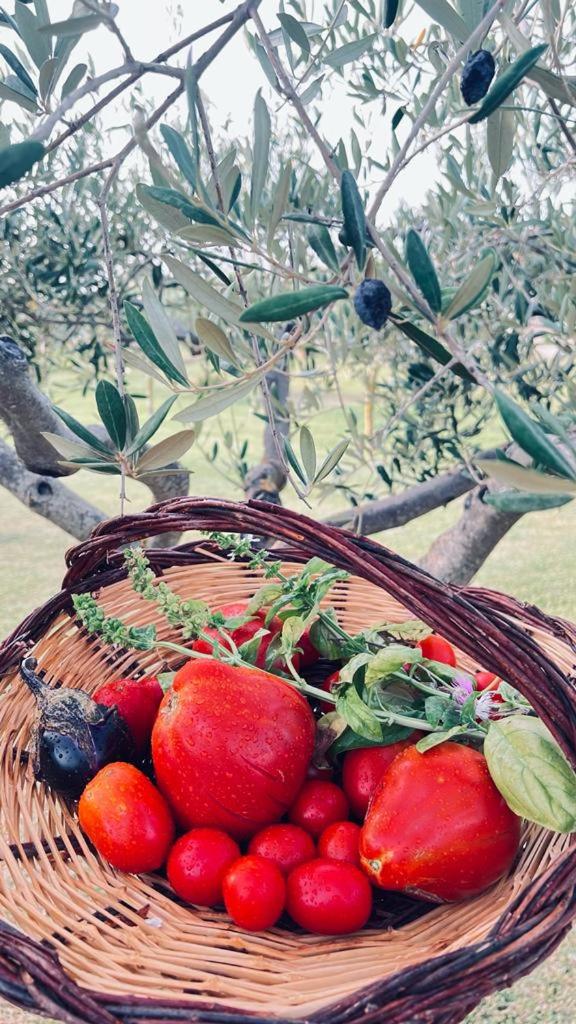 B&B Casale Pietrantica Tropea