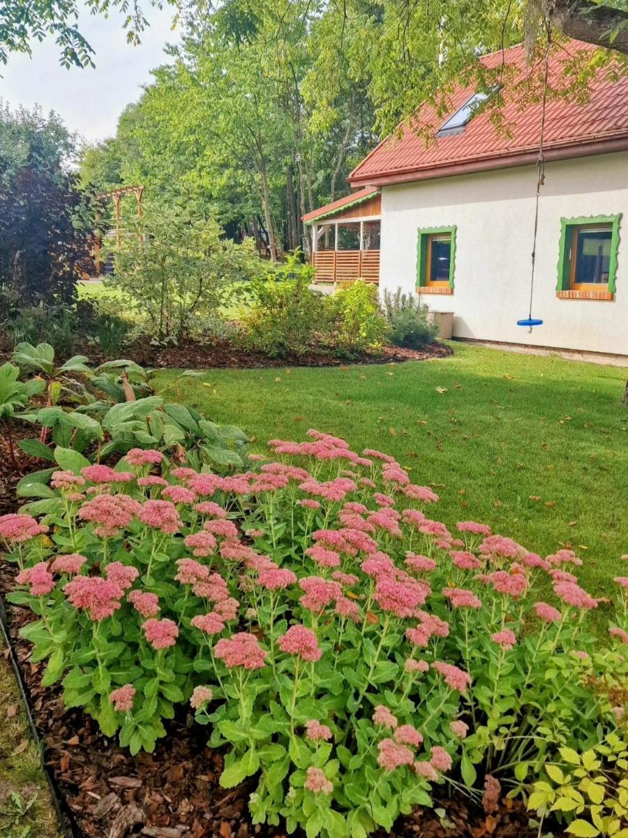 Photo 49