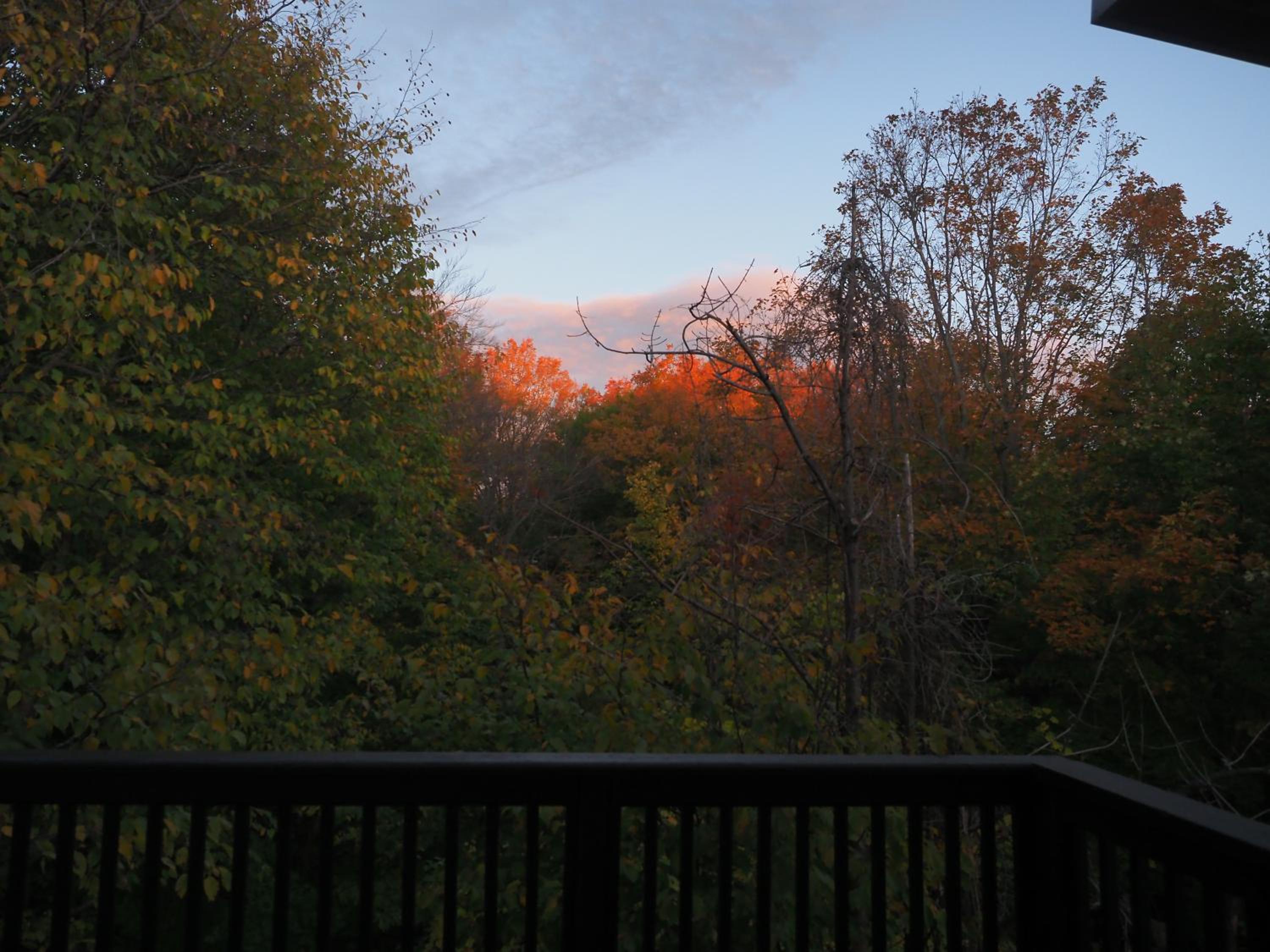 Blue Mountain 6BR Chalet Modern Hot Tub Mountain Views Walk to Village