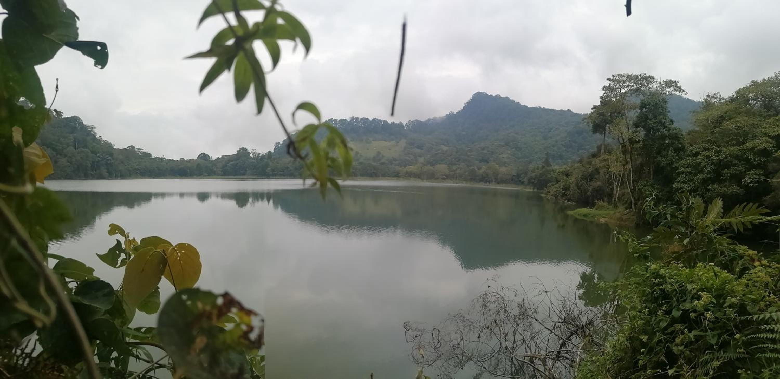 Nuestro Bosque I