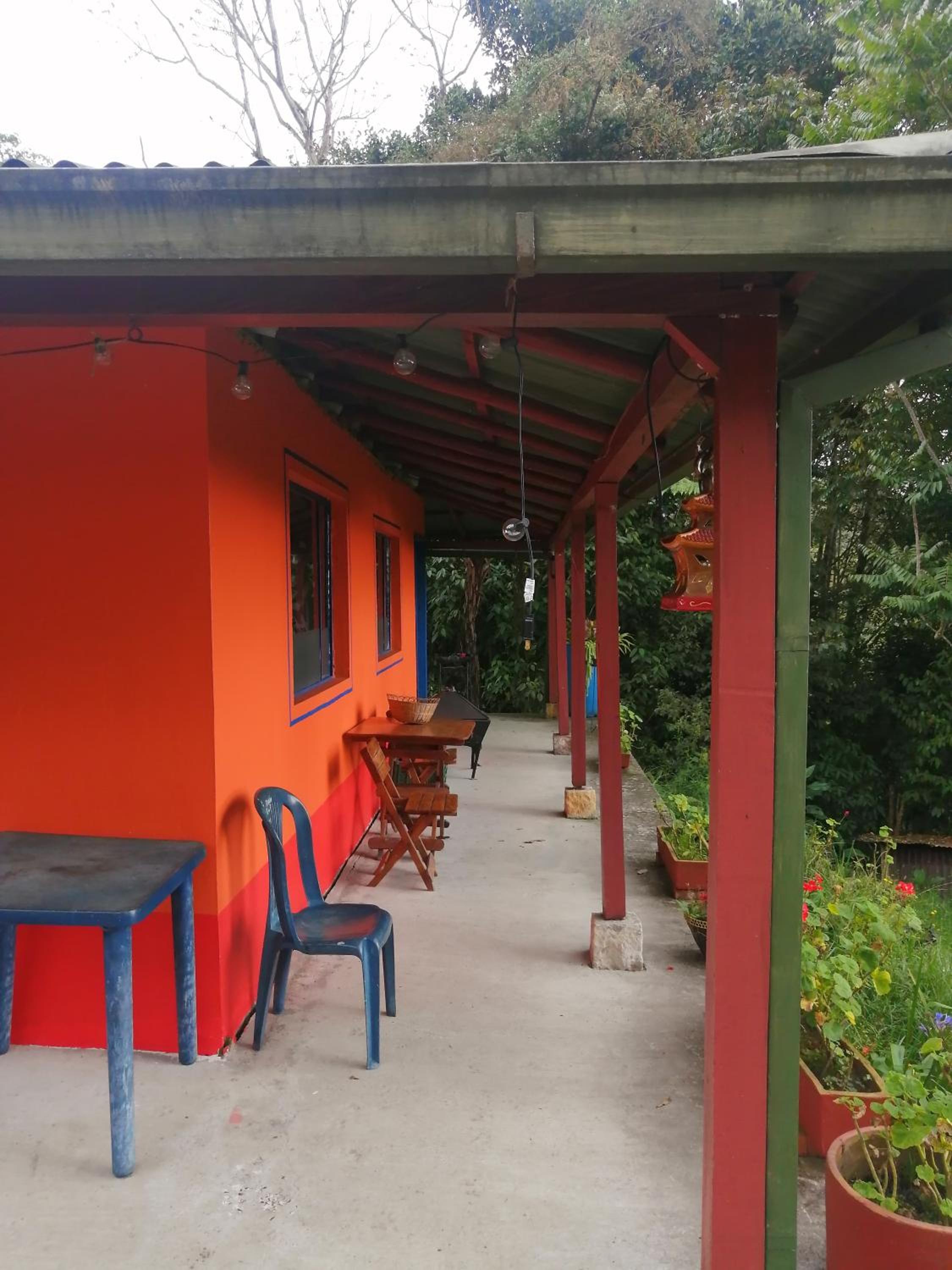 Nuestro Bosque I